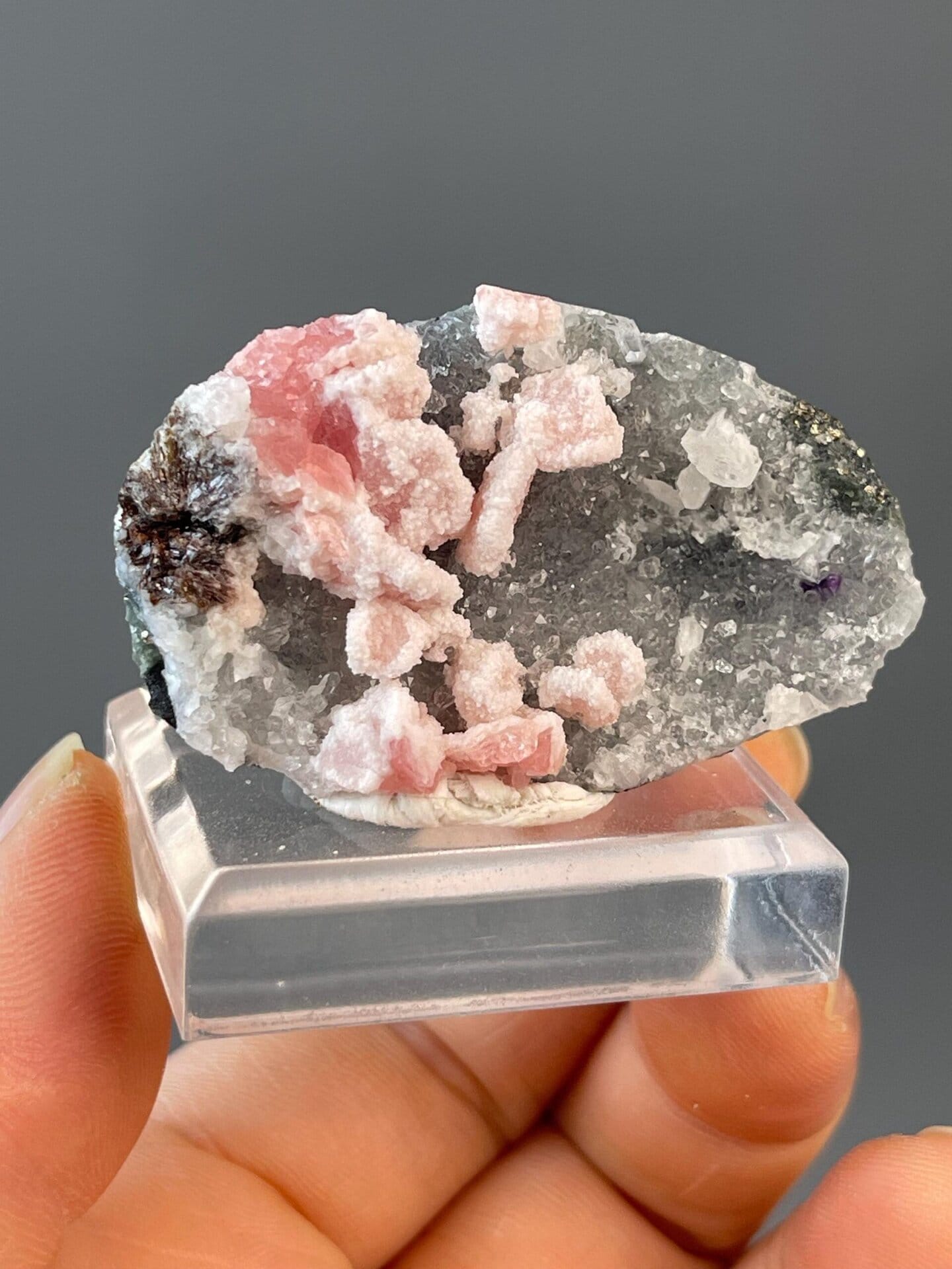 Crystal accents on rhodochrosite petal specimen