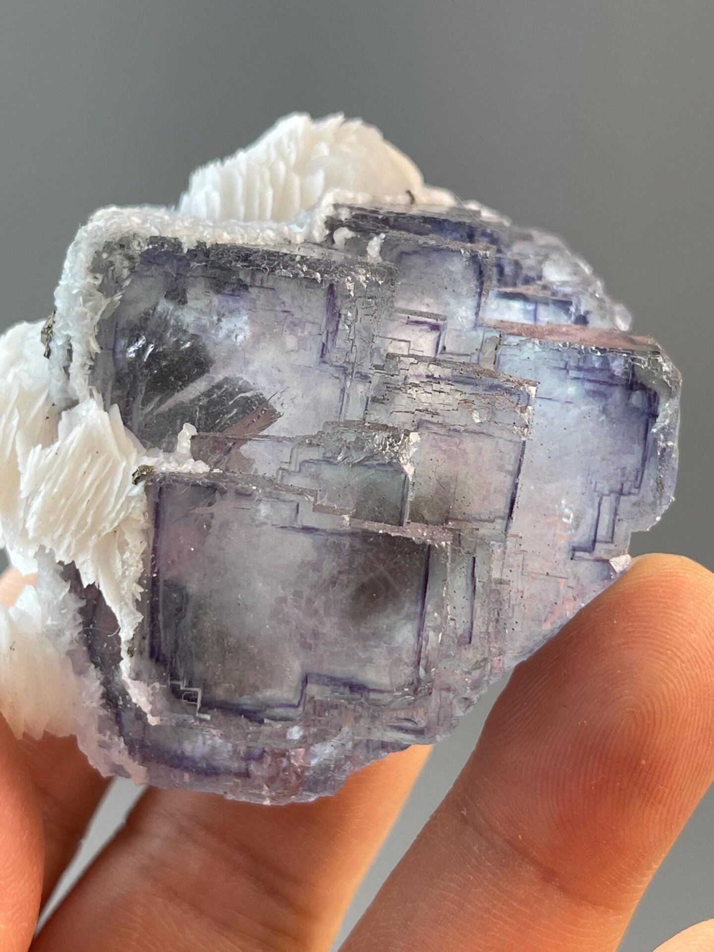 Fluorite with white calcite under studio lighting