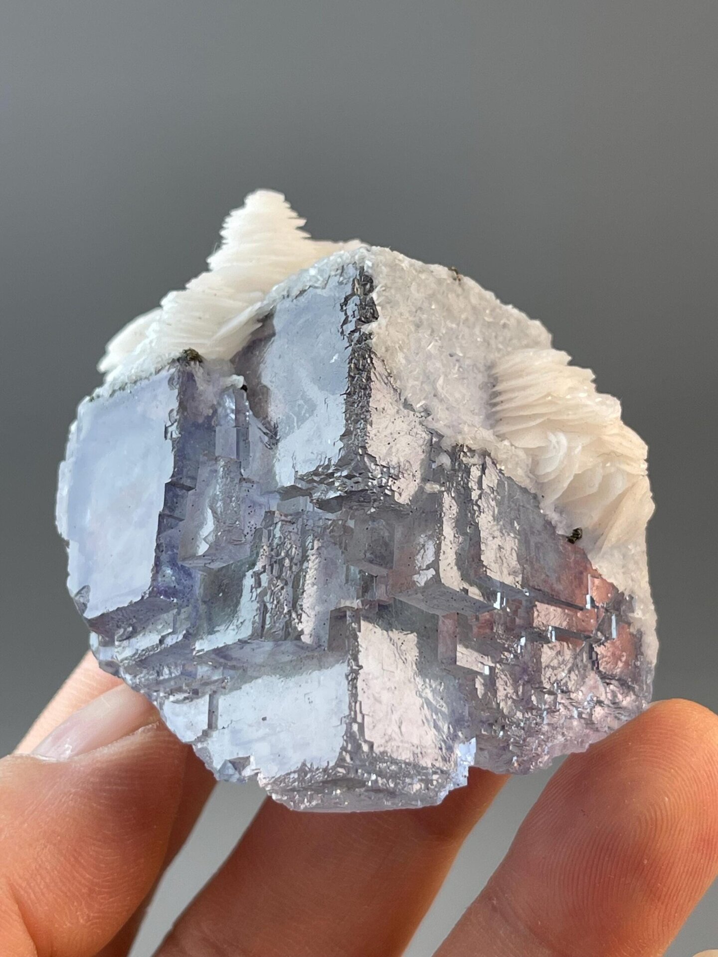 Front view of purple phantom fluorite with white calcite petals