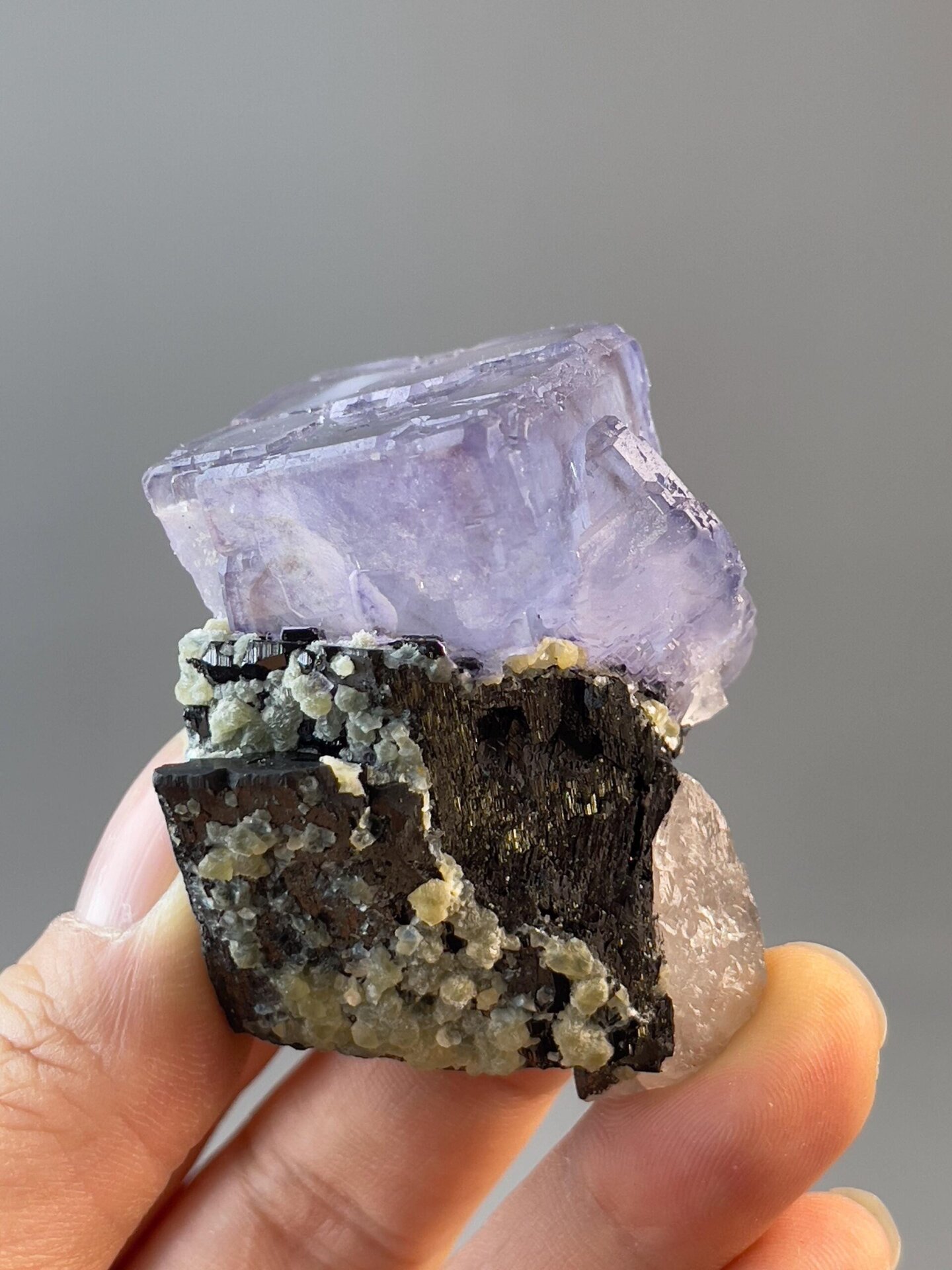 Full specimen view of twin fluorite on tin ore