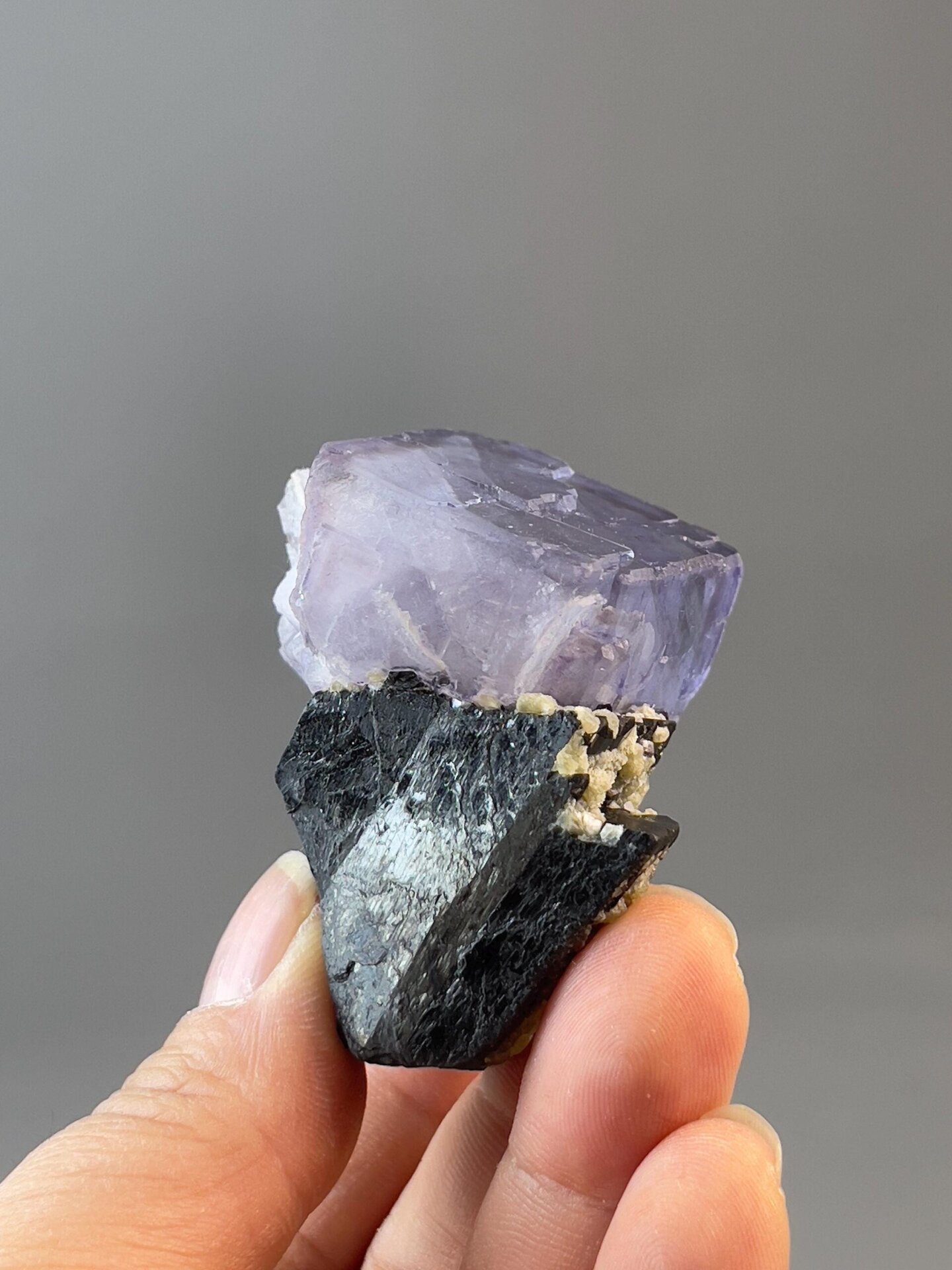 Black tin ore matrix contrasting with purple fluorite