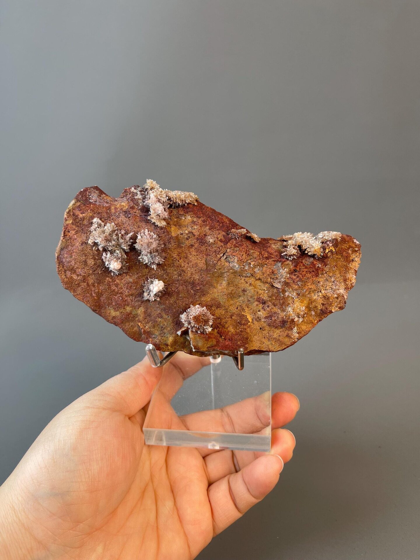 Front view of flower-form fluorite crystals on matrix from Guizhou