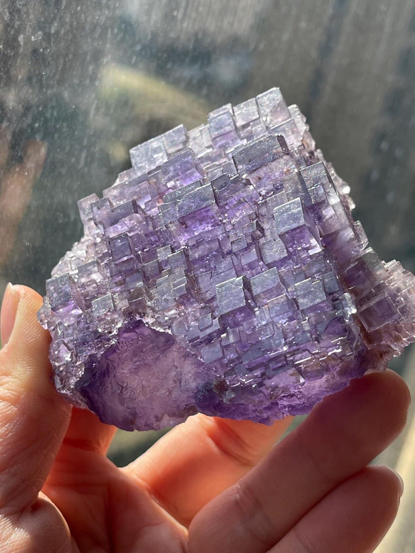 Close-up of purple phantom inclusions inside fluorite cubes