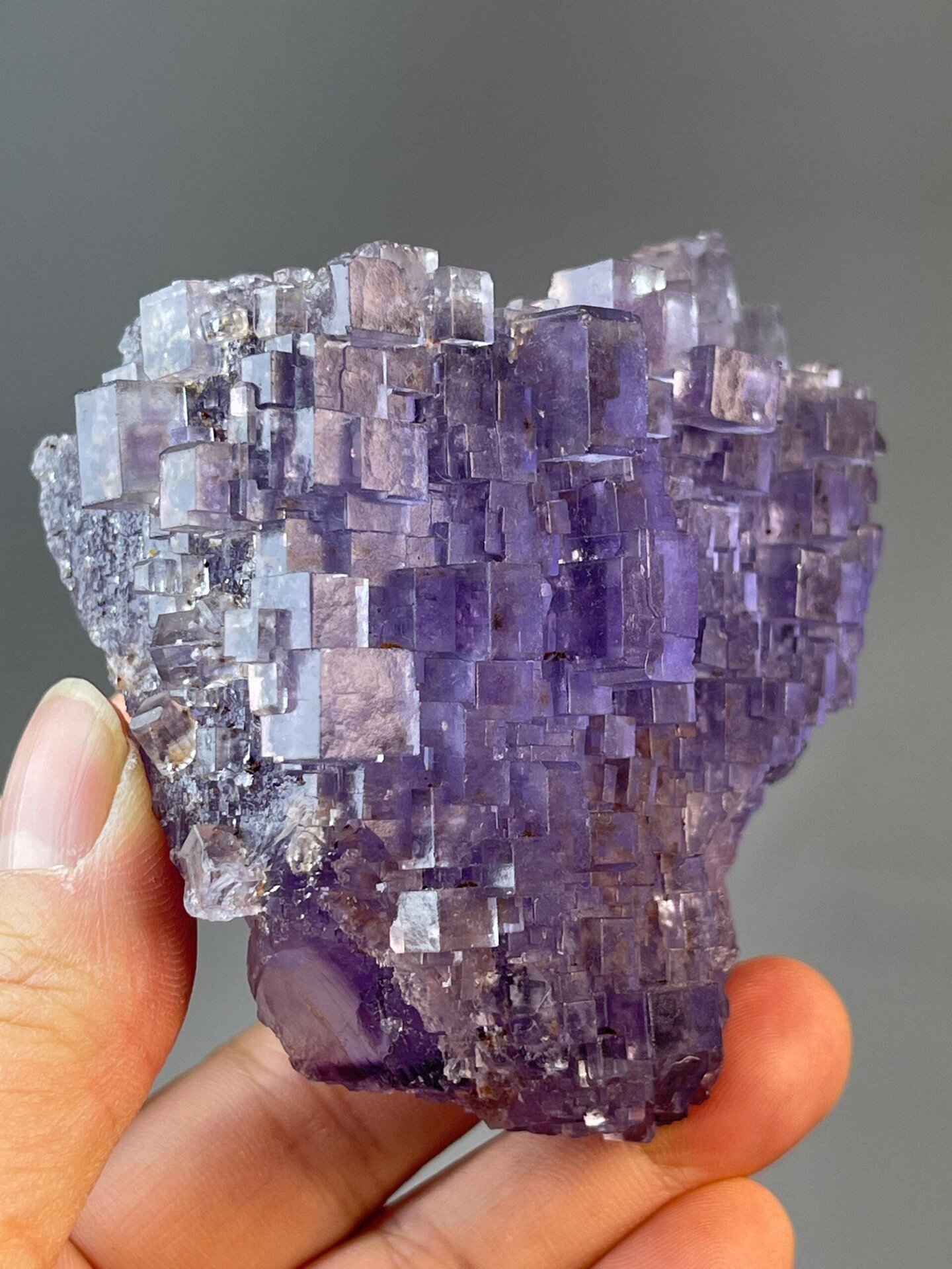 Purple phantom fluorite under studio lighting