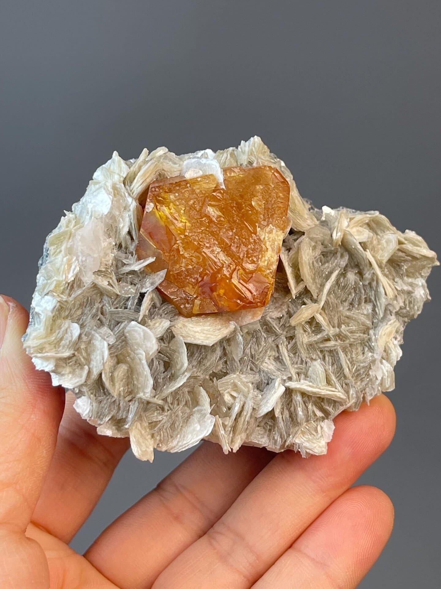 Top apex view of octahedral scheelite crystal