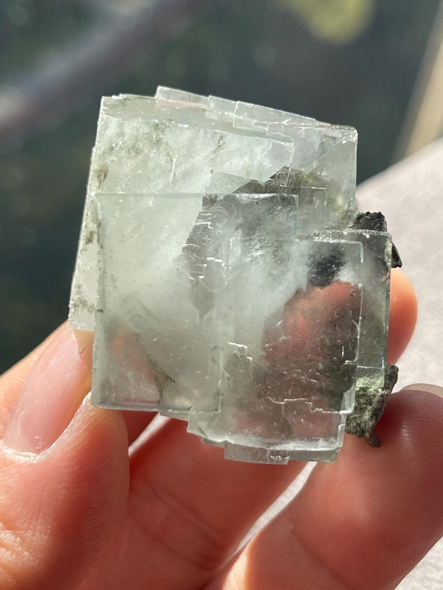 Close-up of white cotton inclusions in fluorite