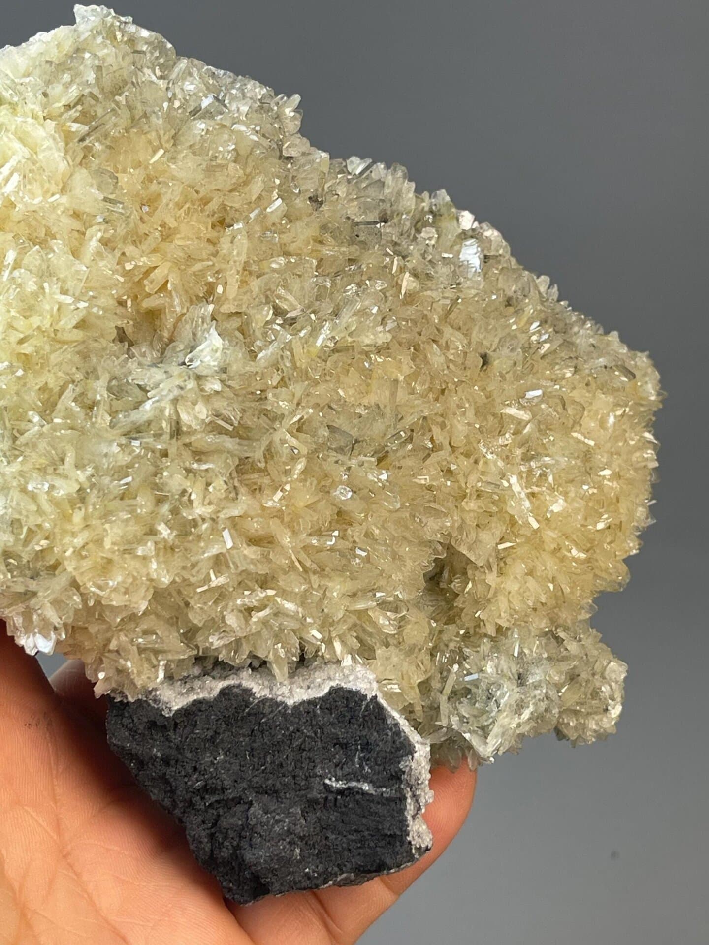 Front view of glassy vanadinite crystals on black matrix from Daye