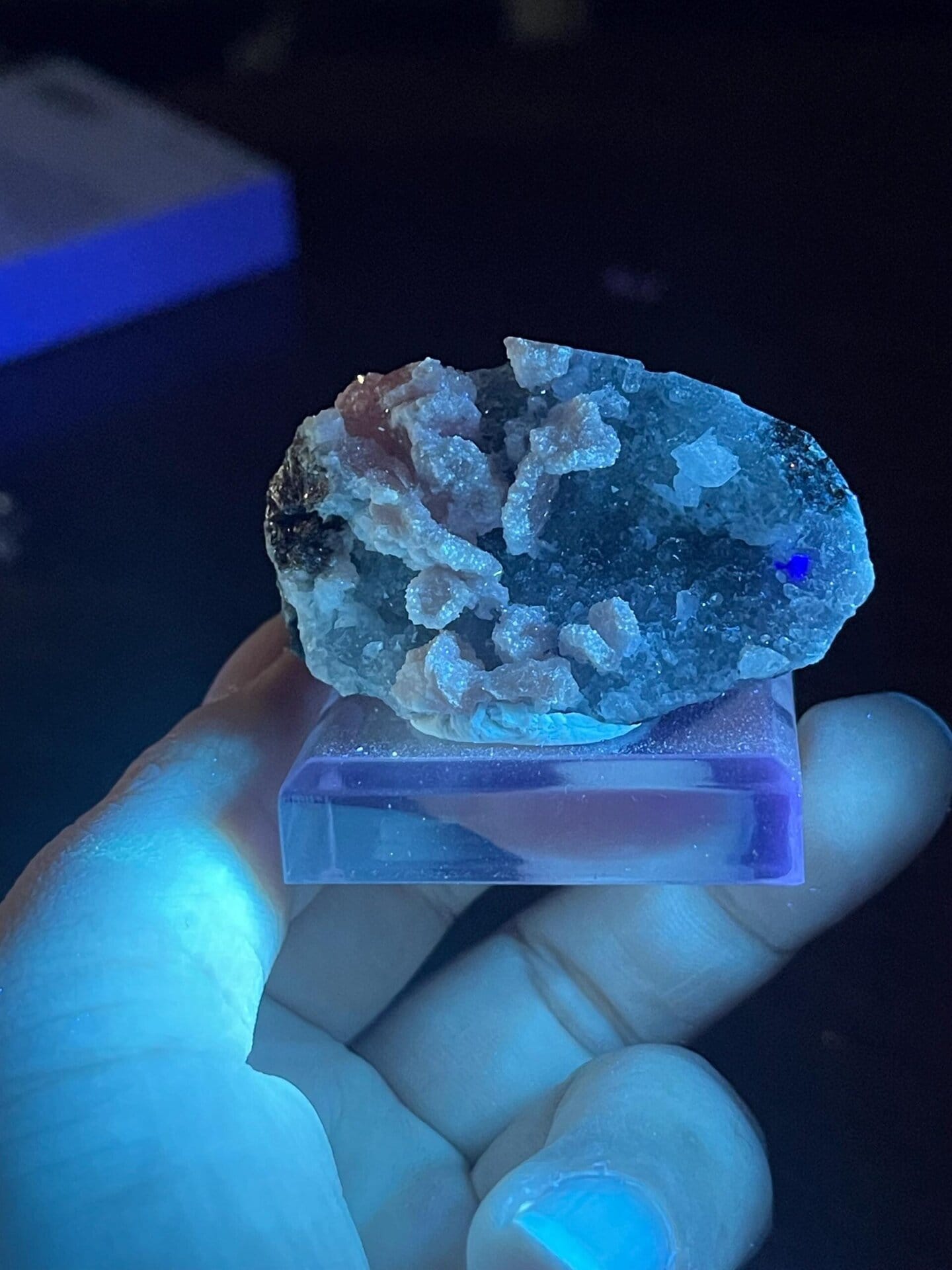 Back view of rhodochrosite petal base