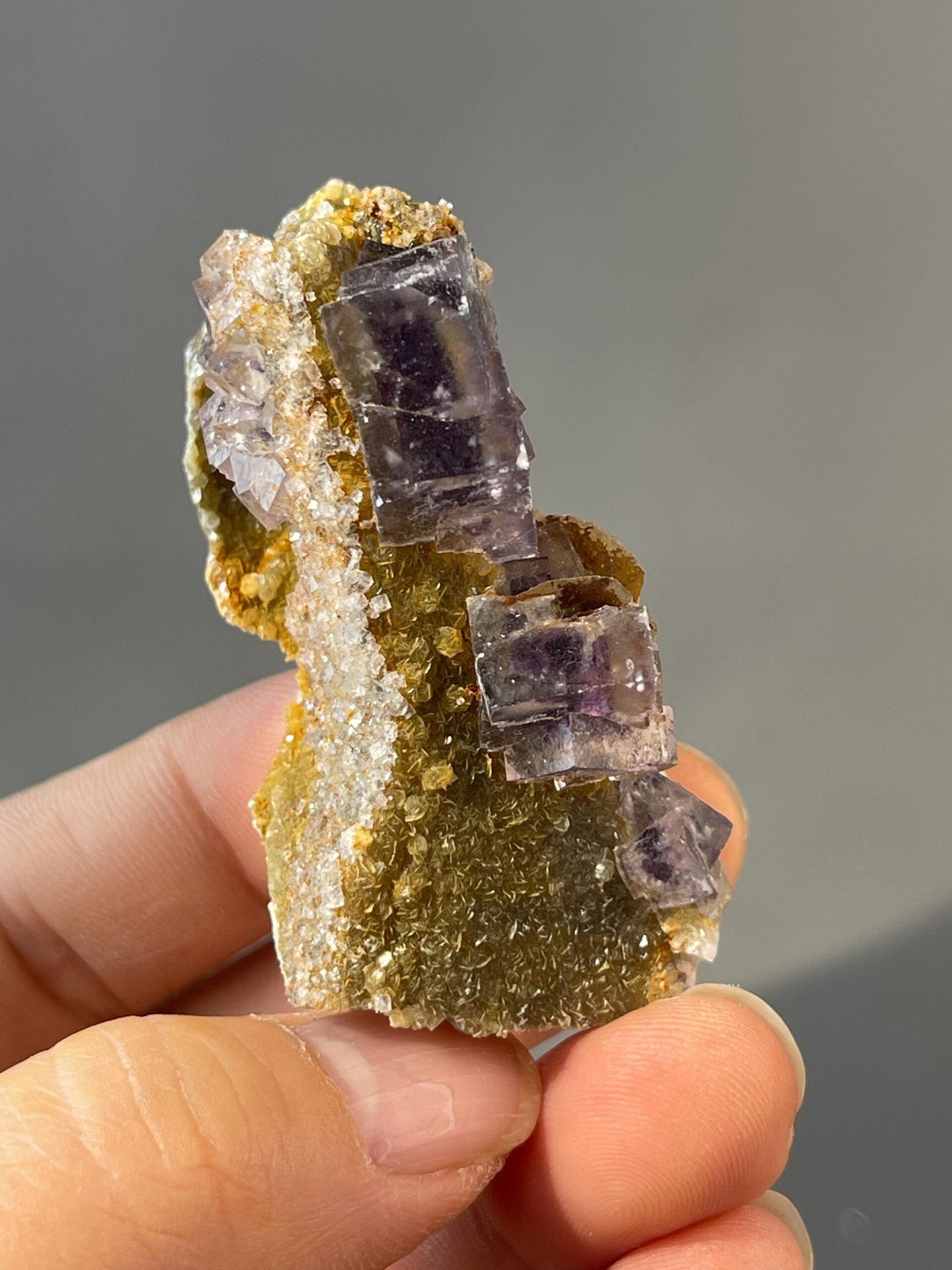 Scale reference of purple tri-twin fluorite crystal