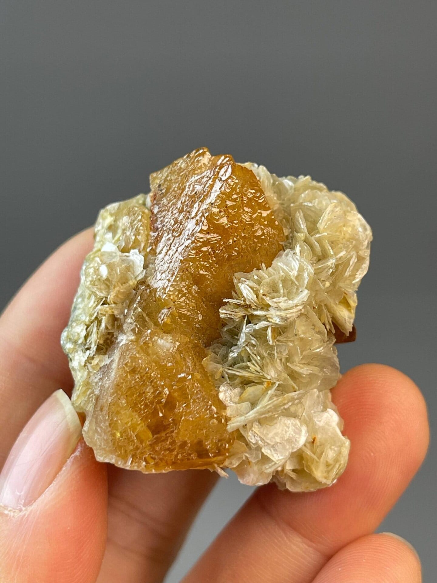 Scheelite mineral with tungsten composition and resinous luster