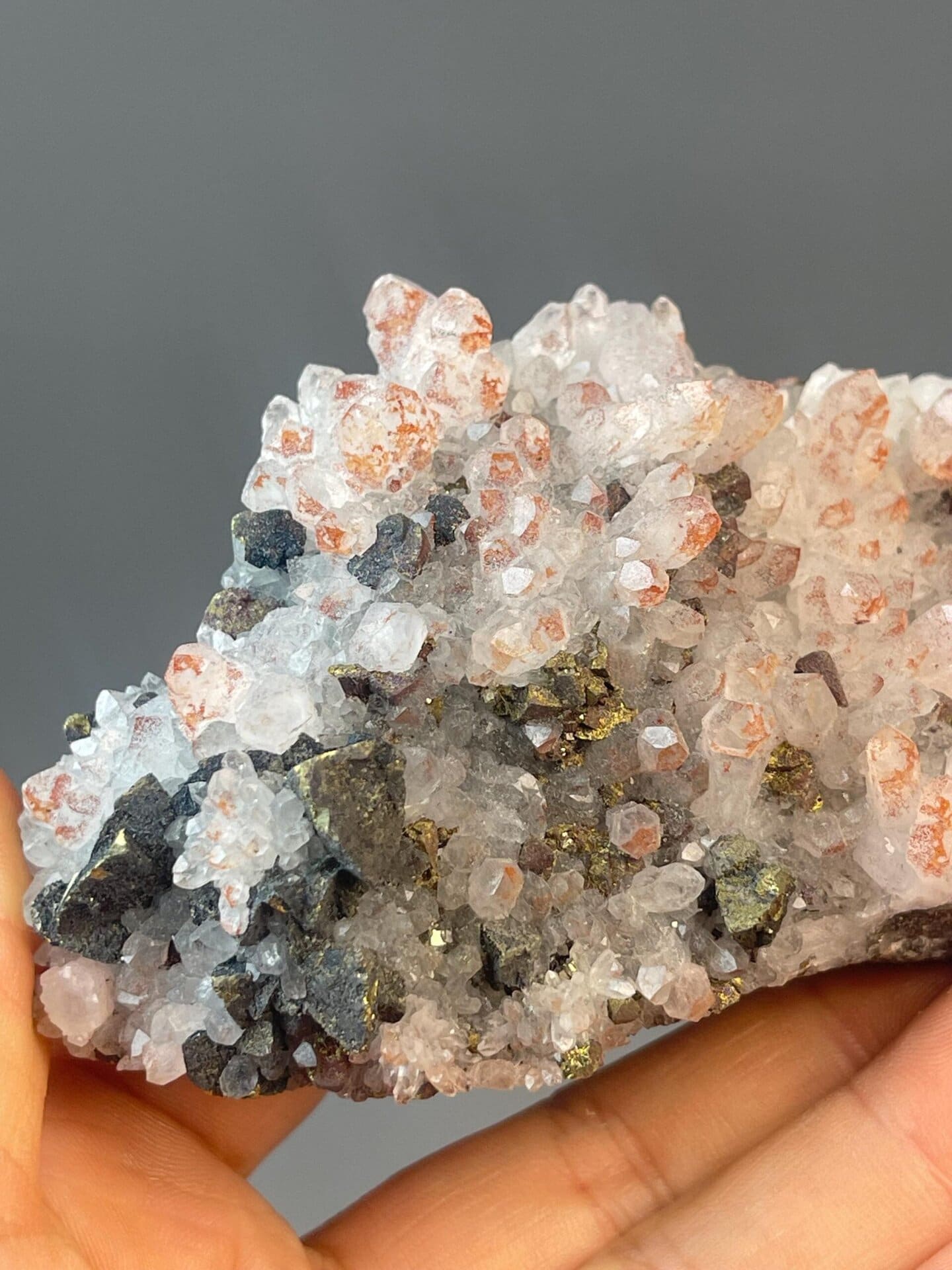 Red hematoid quartz crystal on contrasting black matrix