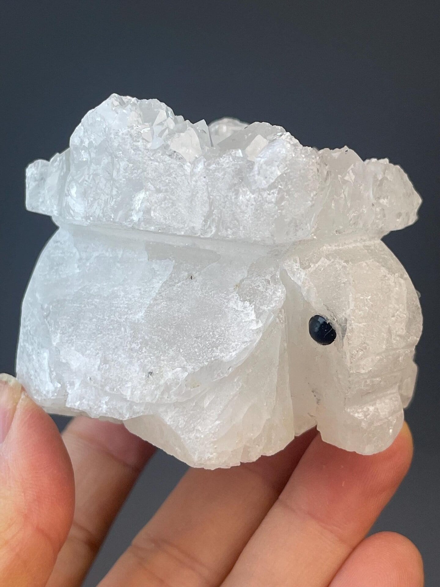Carved crystal quartz elephant with realistic onyx eyes