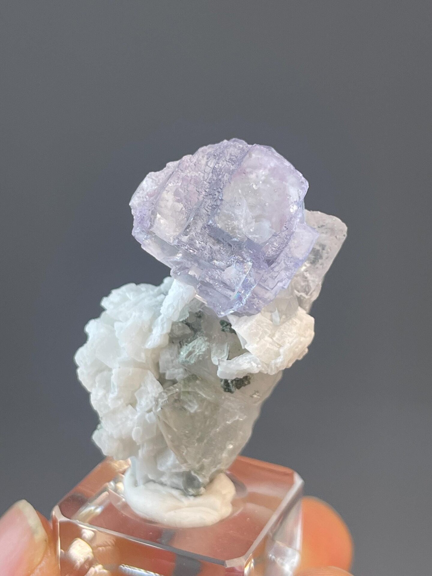 Blue fluorite forming rose shape with associated quartz crystals