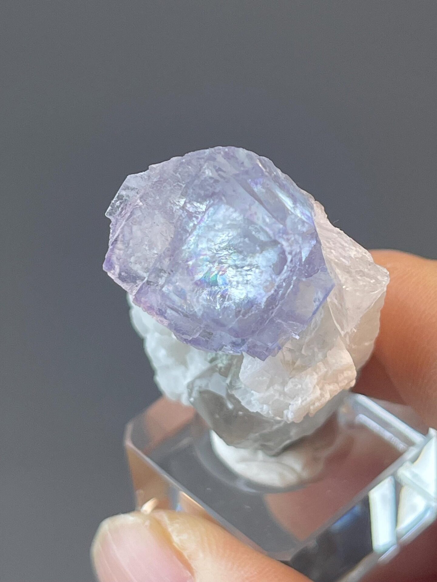 Blue fluorite in floral rose formation with quartz association