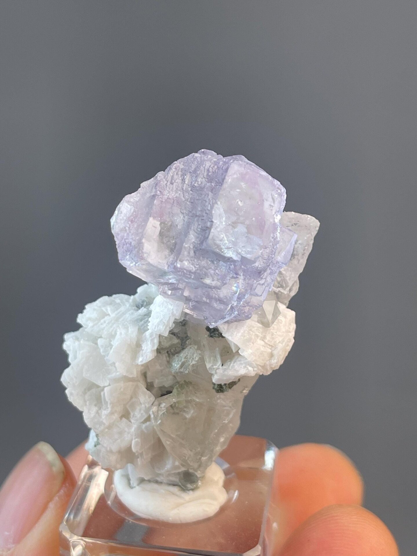Blue rose fluorite measuring 1.7×0.9×0.7 inches