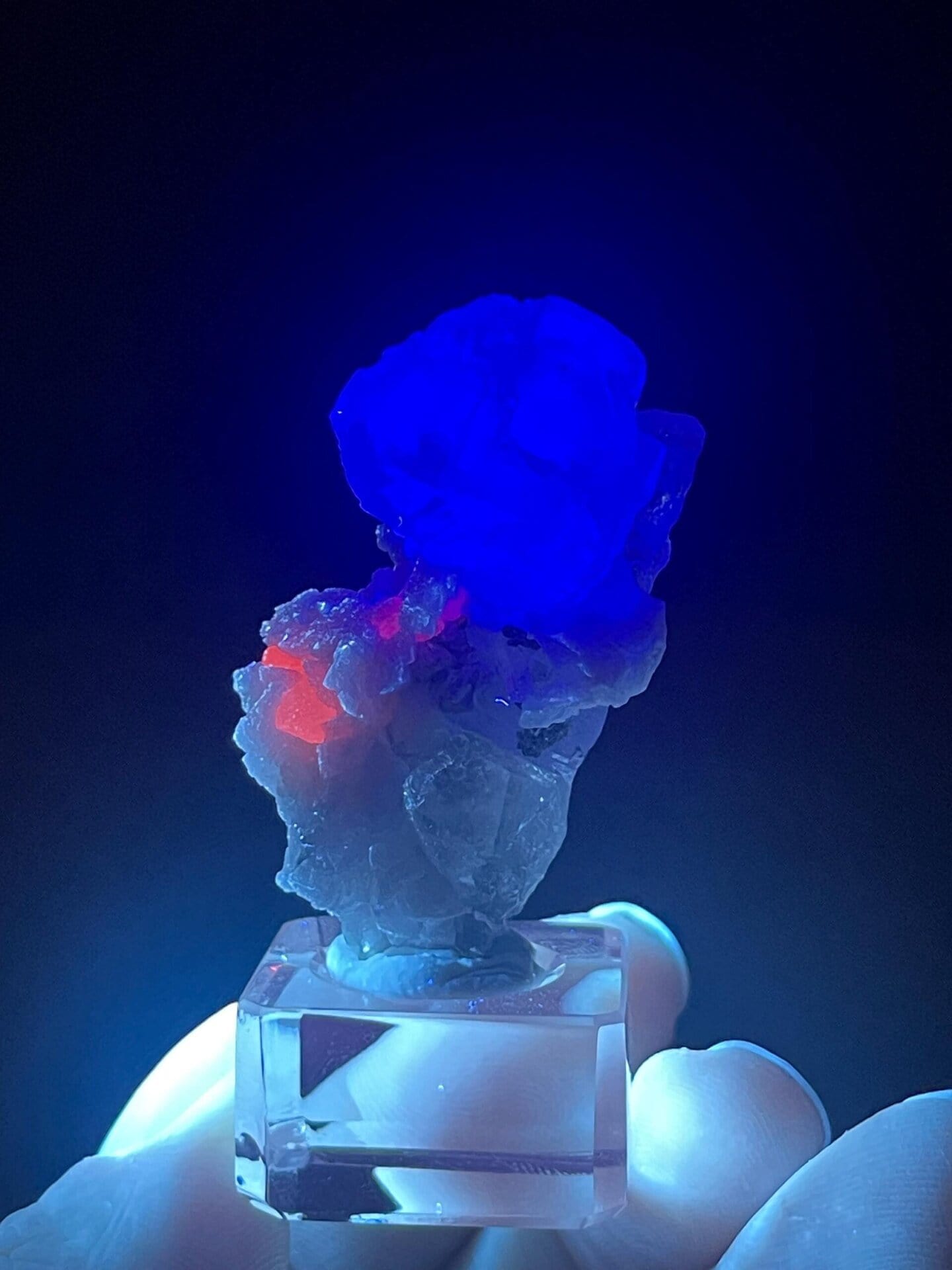 CaF₂ isometric blue fluorite in rose-like crystal arrangement with quartz