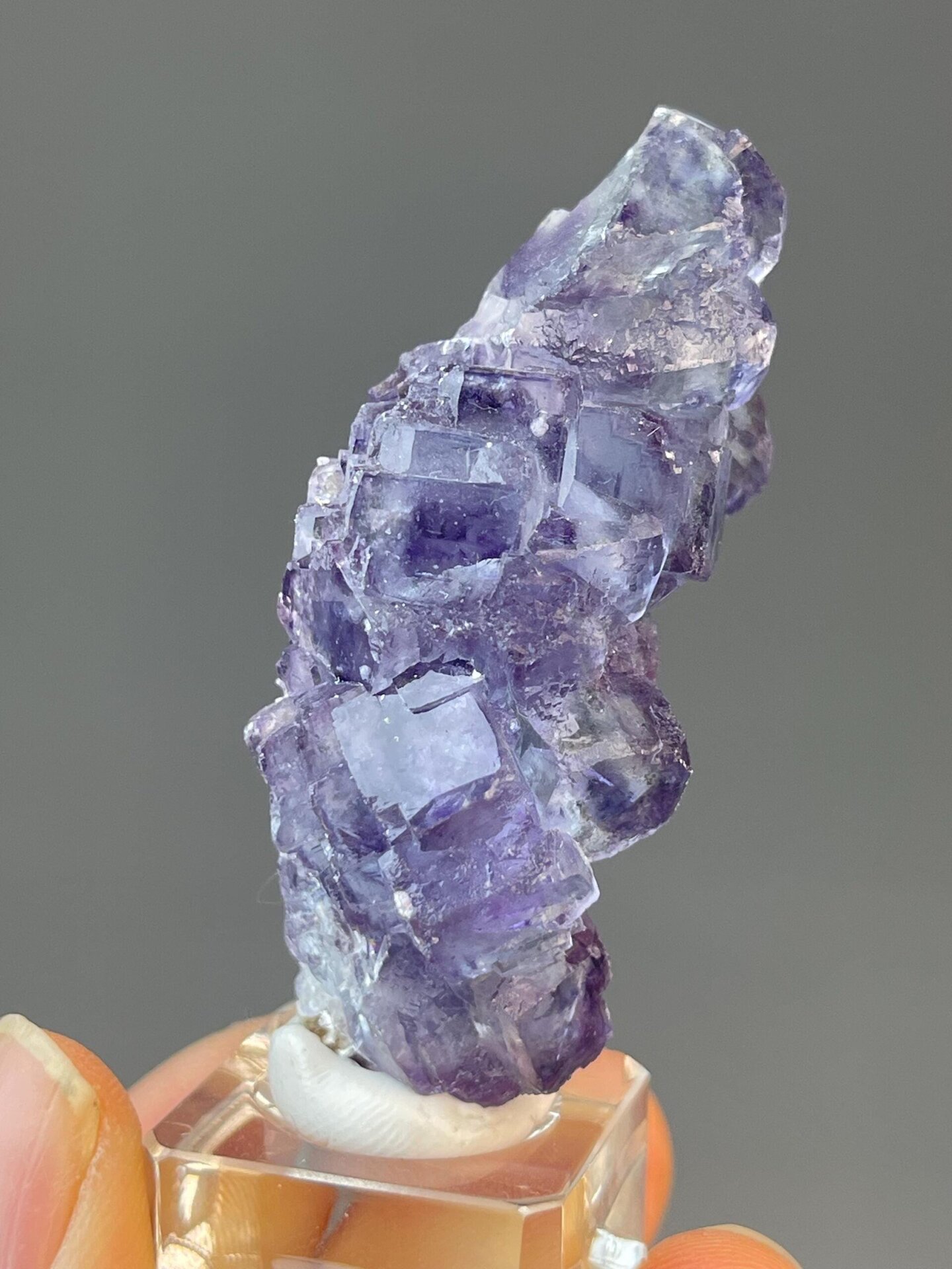 Tree-form fluorite specimen measuring 2.3×0.9×0.8 inches