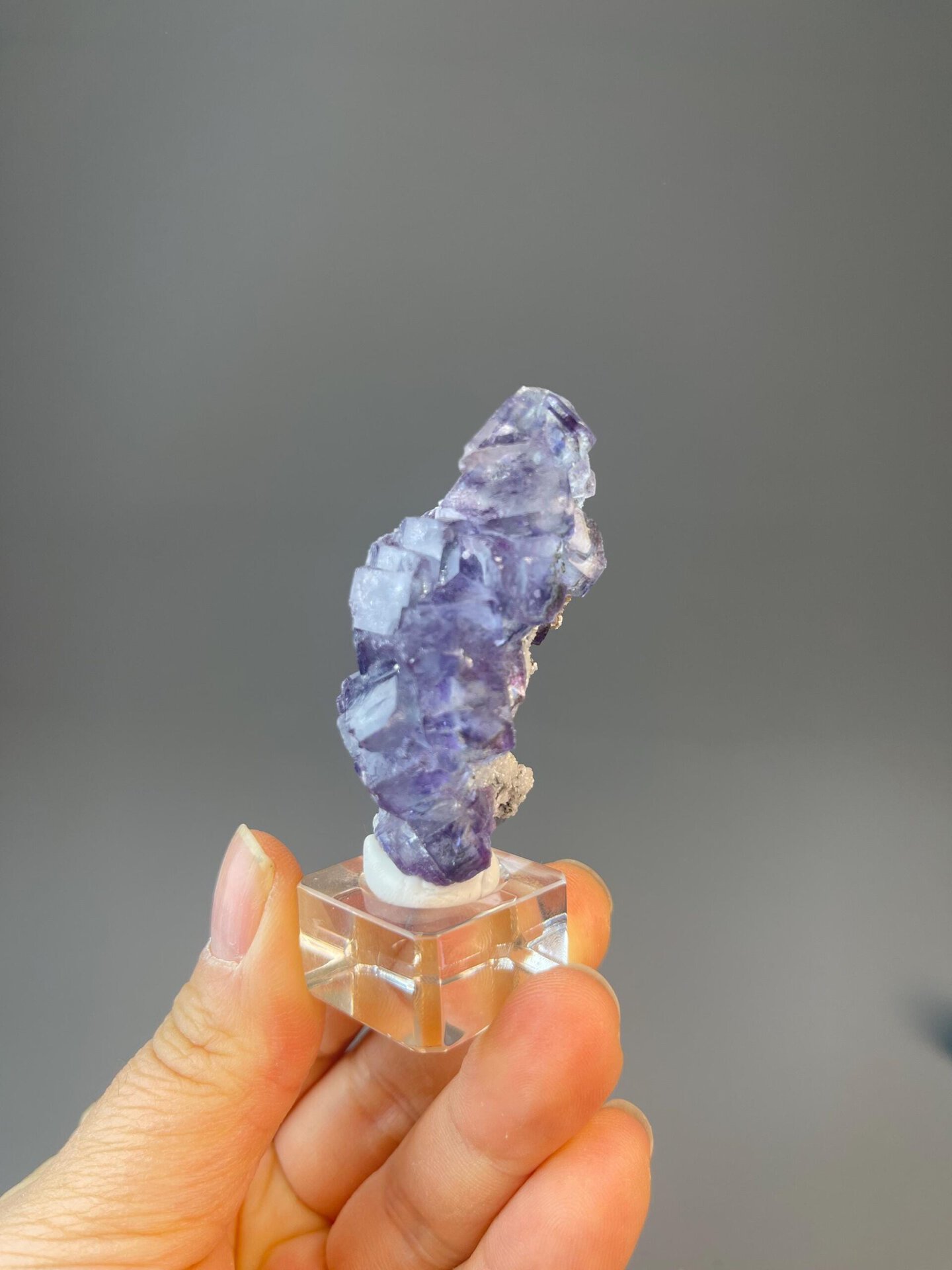 Tree-shaped fluorite twin with purple phantom cube zones