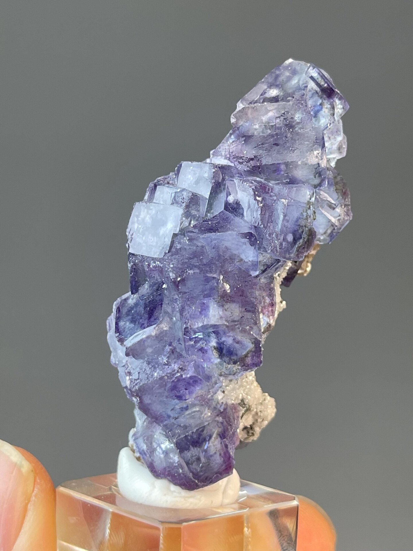 Twinned tree-form fluorite with purple phantom from Yaogangxian, Hunan