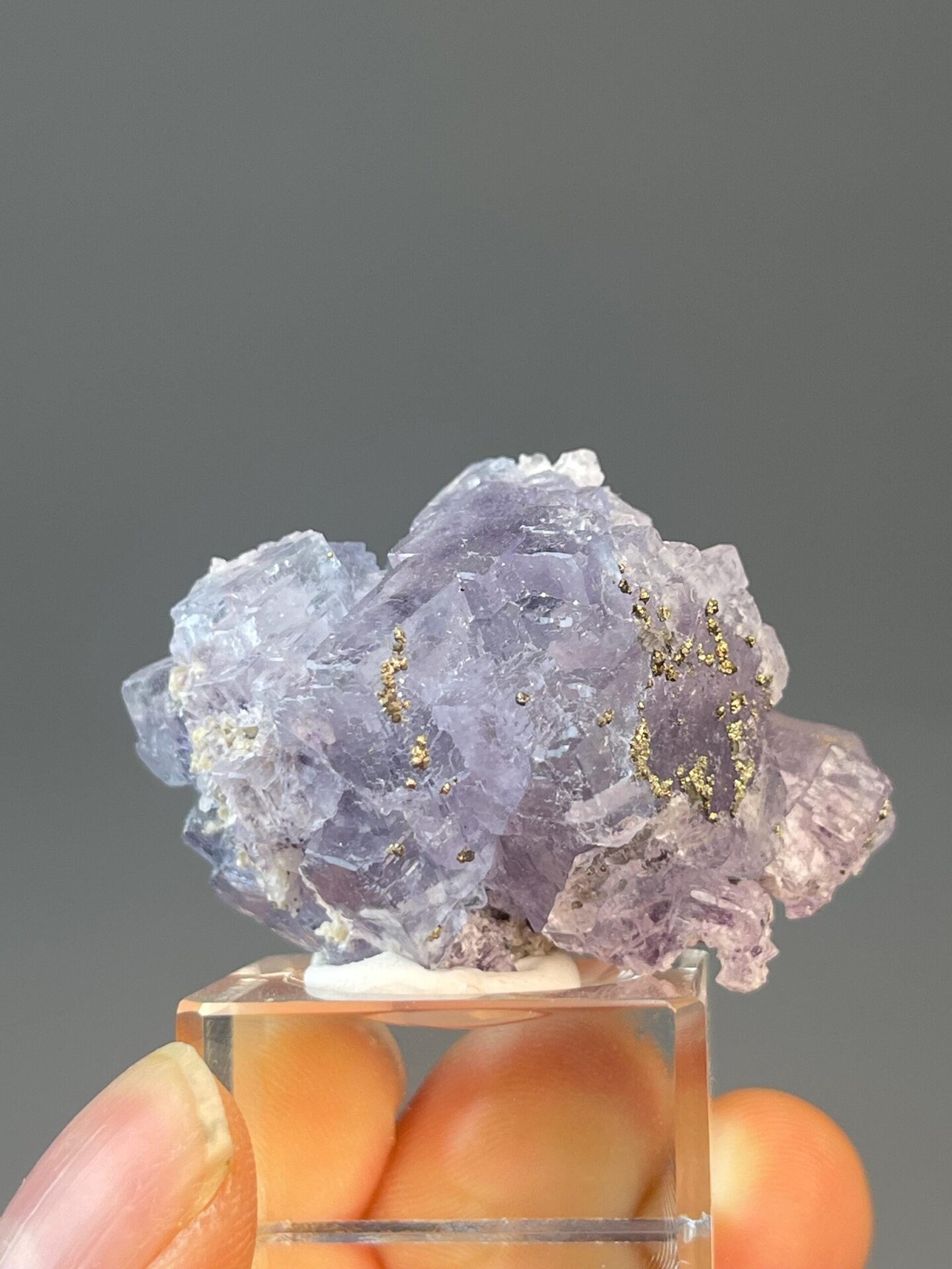 Purple fluorite in petal-like floral crystal arrangement with pyrite