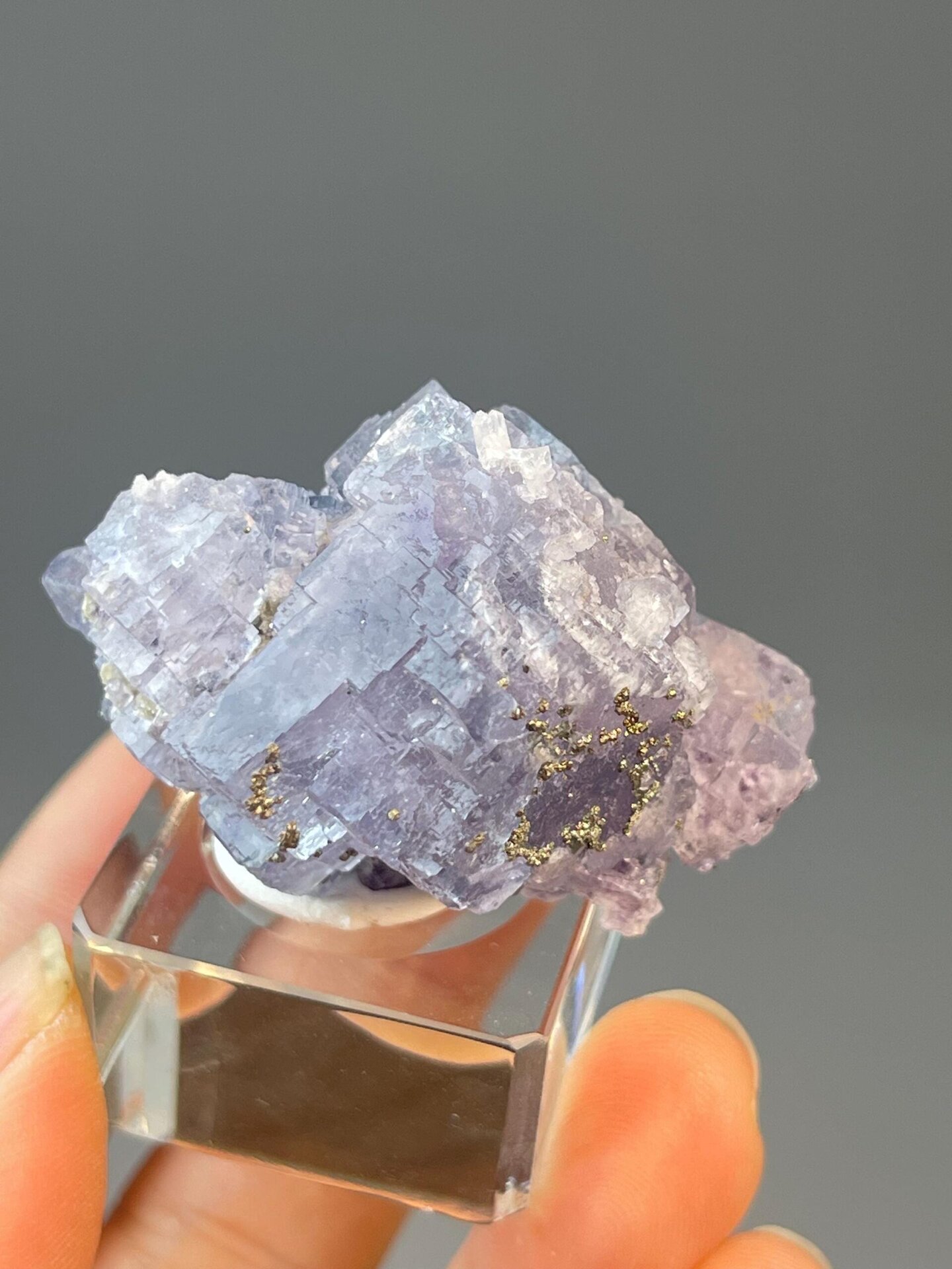 Purple CaF₂ flower-form fluorite with metallic pyrite accents