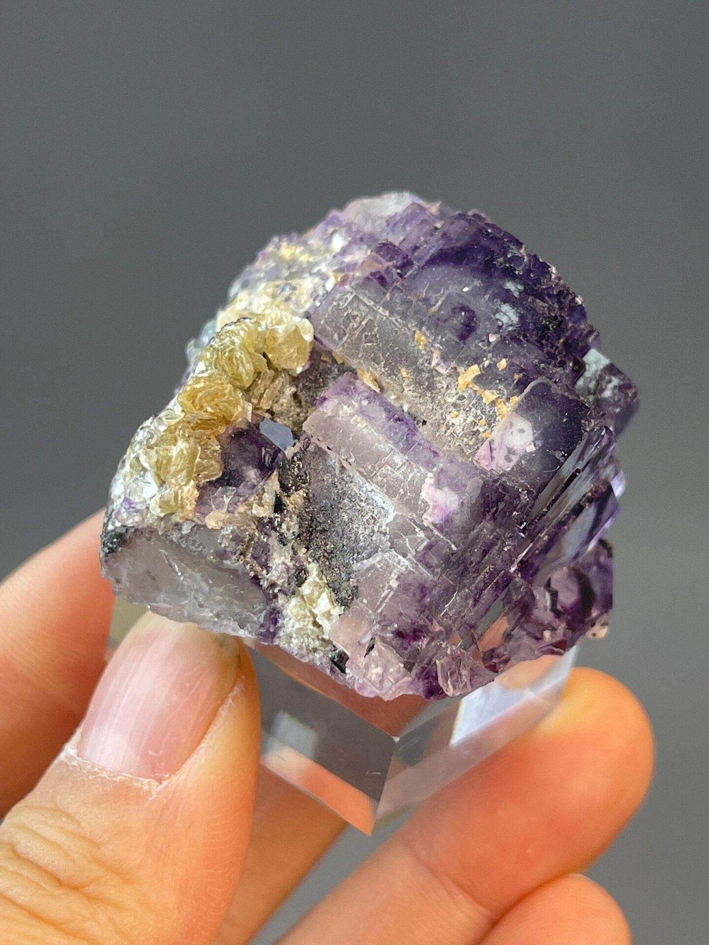 CaF₂ isometric fluorite with deep purple phantom on dolomite matrix