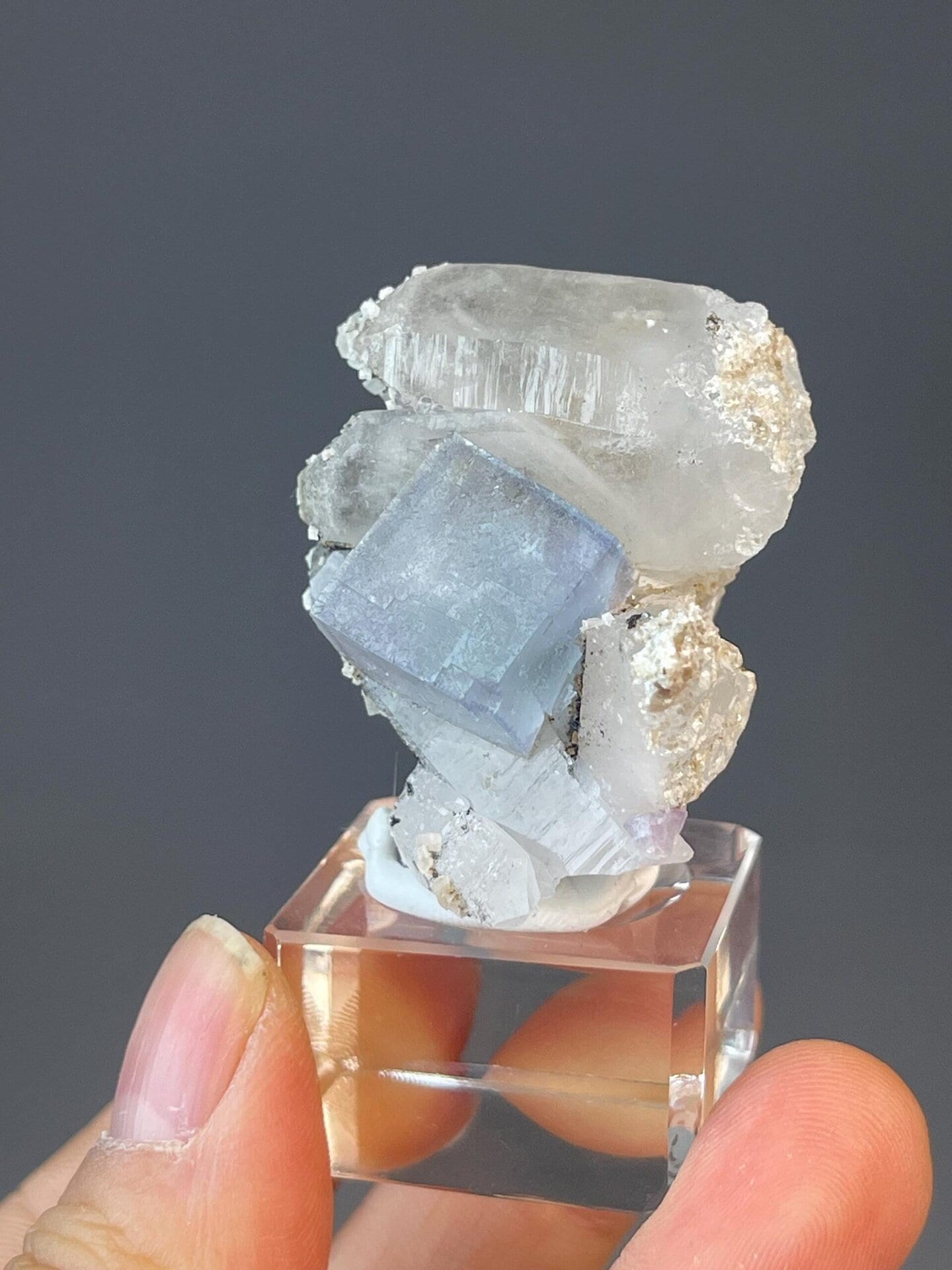 Two-mineral specimen: blue fluorite cube and white quartz