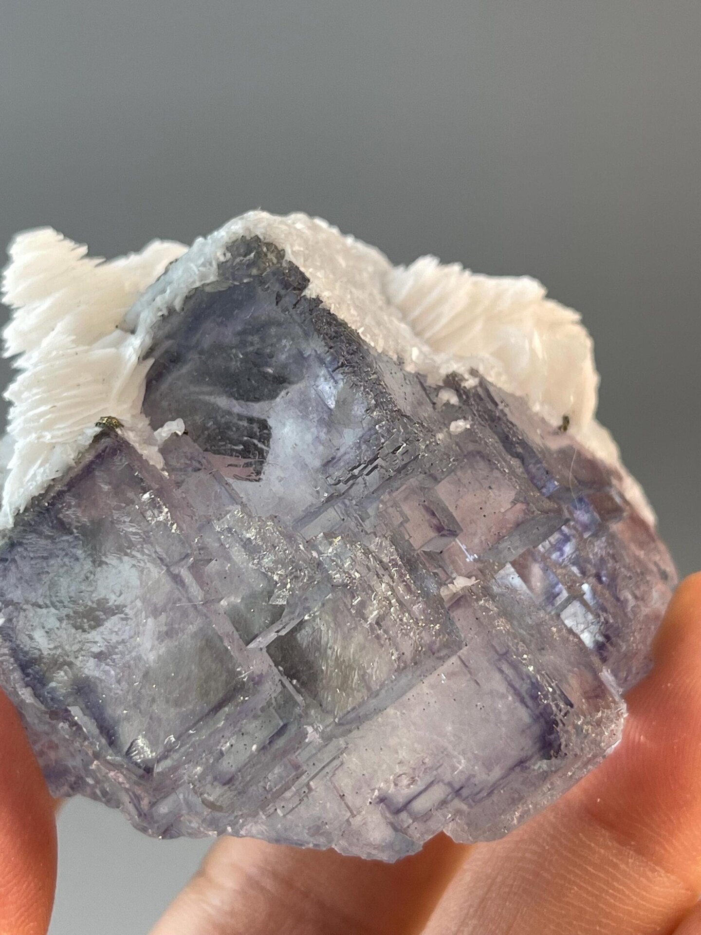 Purple phantom inclusions visible in fluorite crystal