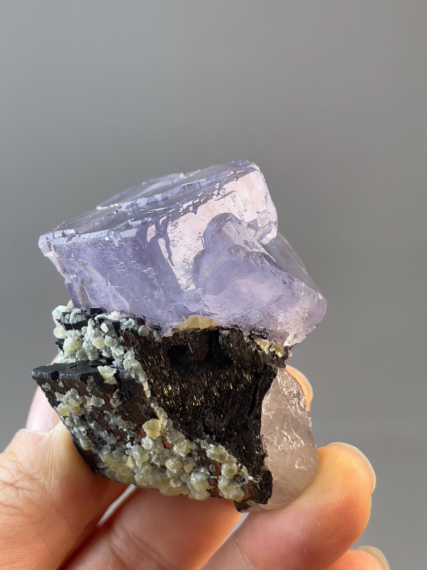 Front view of purple twin fluorite crystals on black tin ore matrix