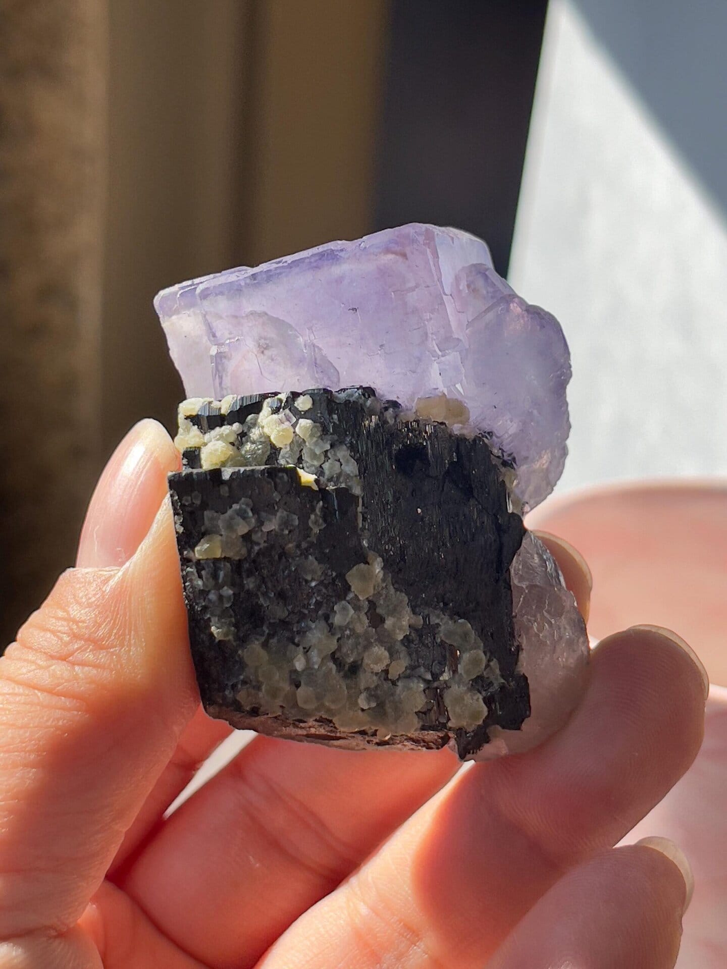 Scale reference of purple twin fluorite from Yaogangxian