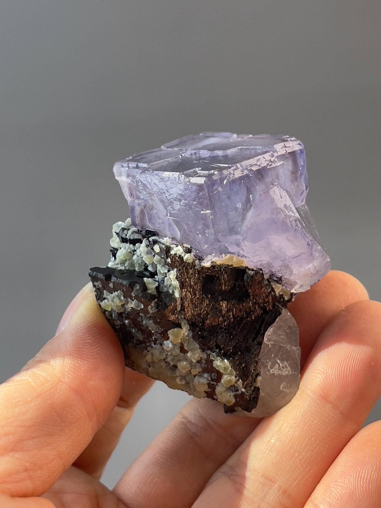 Side view of twin fluorite on cassiterite matrix