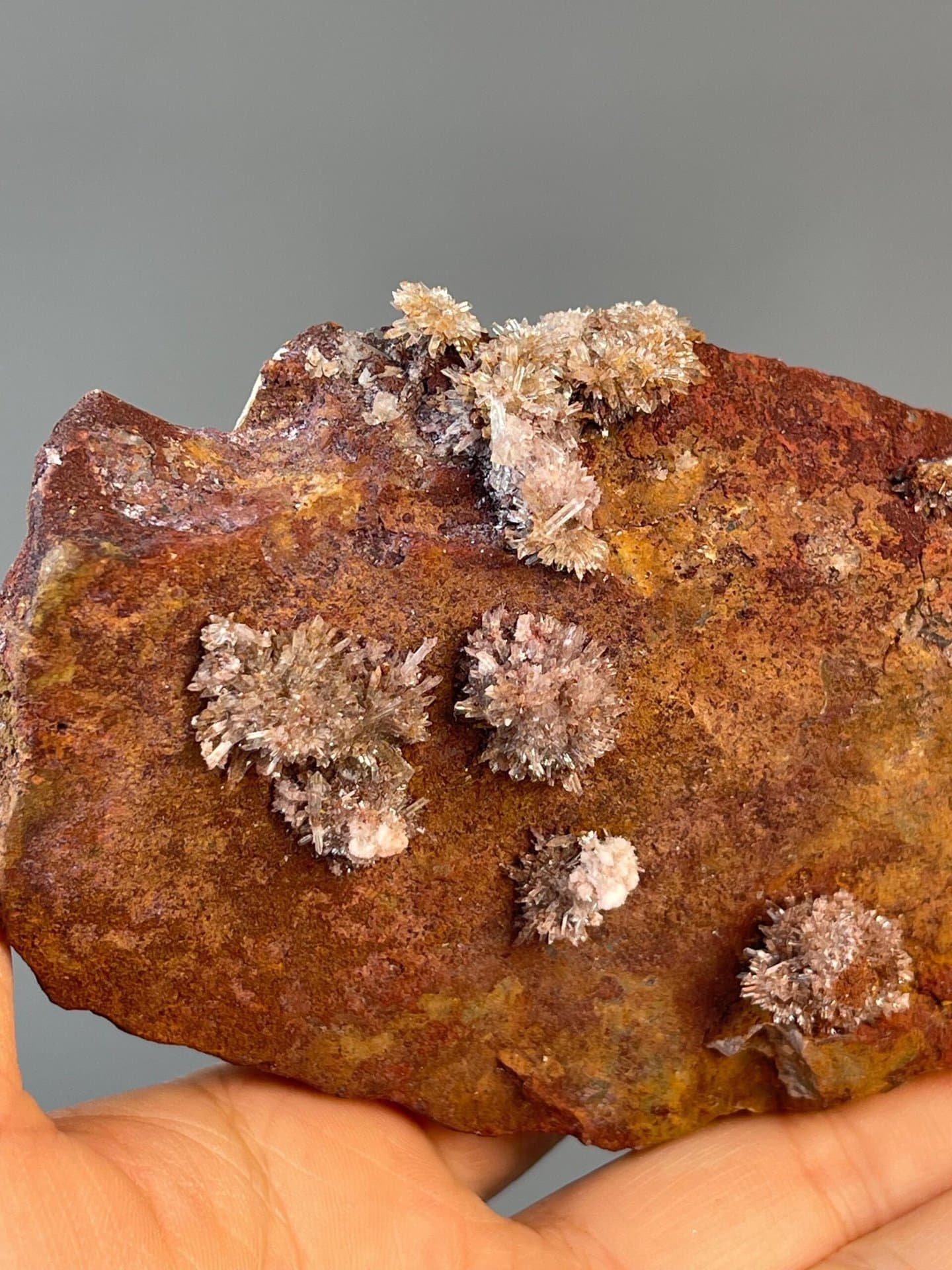 Coffee-colored rock matrix with fluorite crystal growth