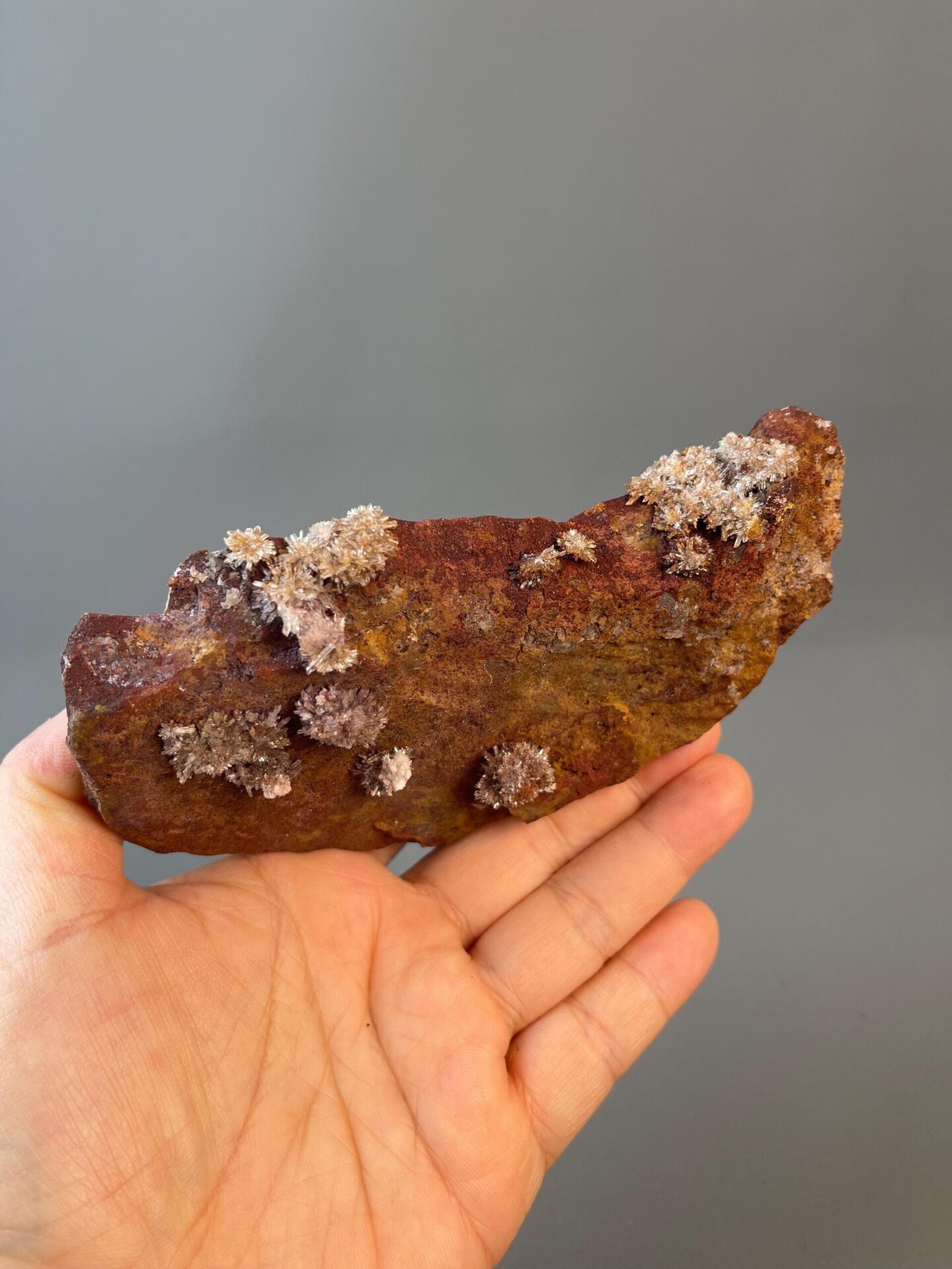Close-up of fluorite crystal formations resembling flowers