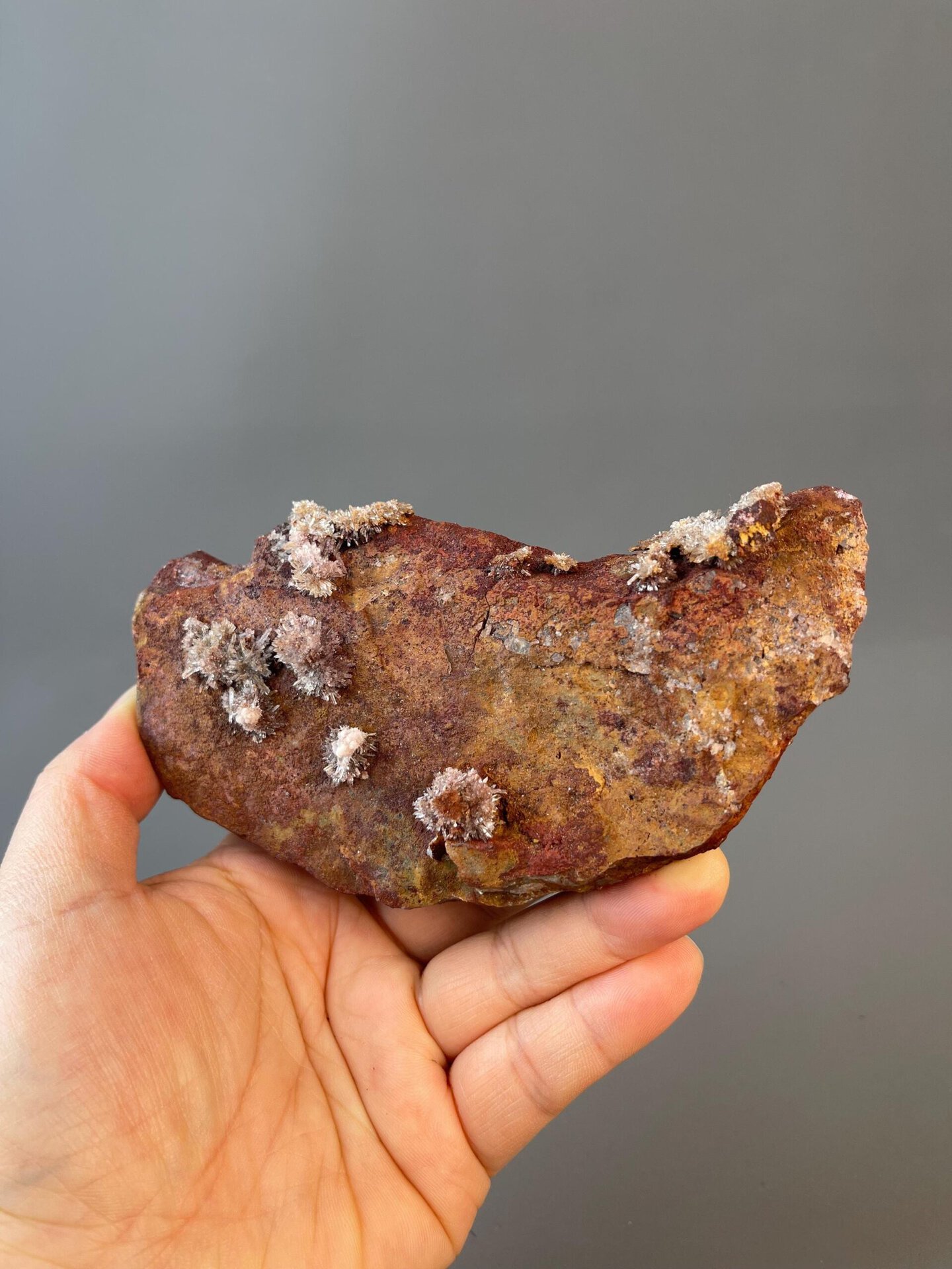 Multiple flower-like fluorite clusters on matrix