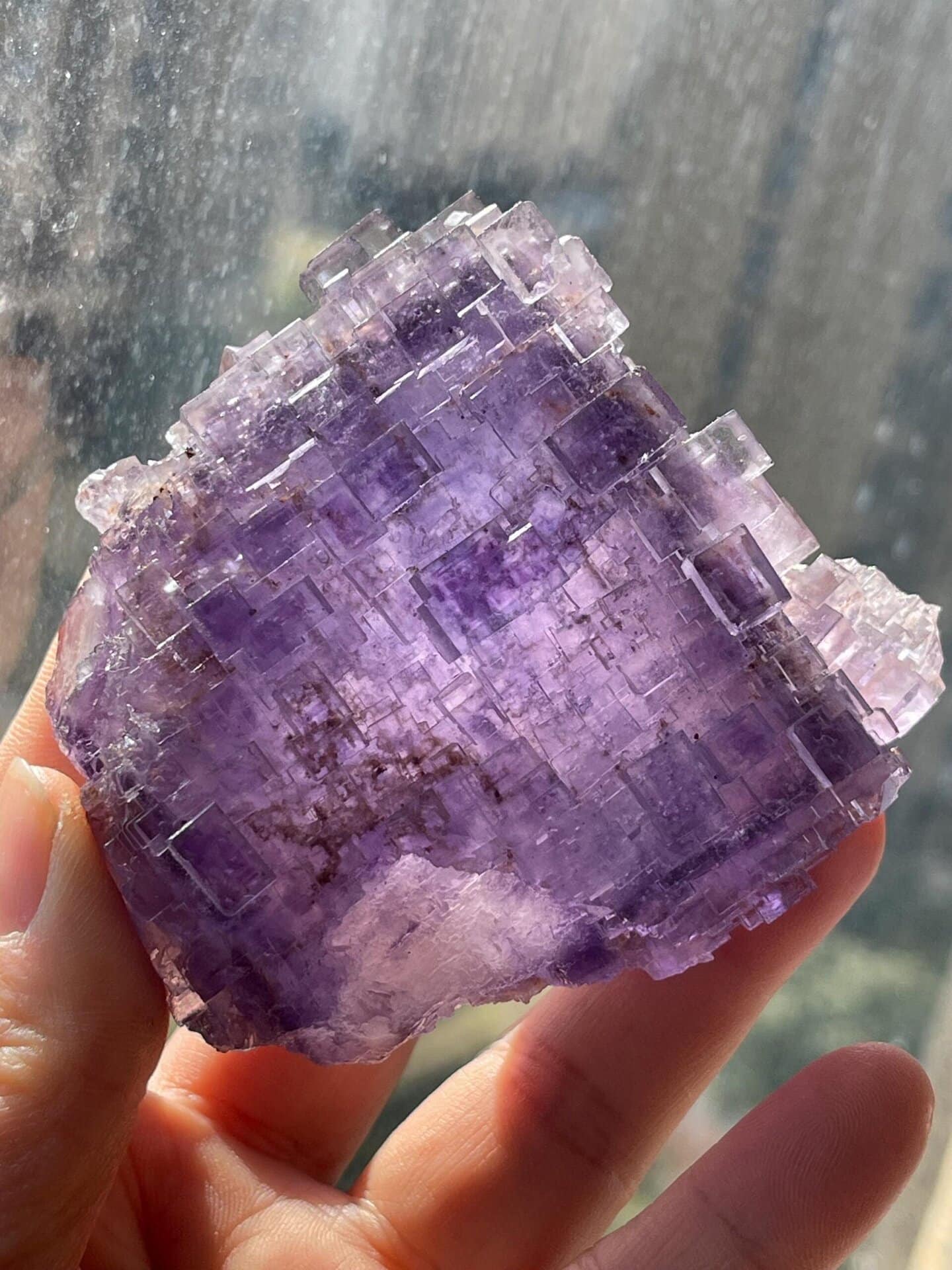 Front view of stepped fluorite with deep purple phantom
