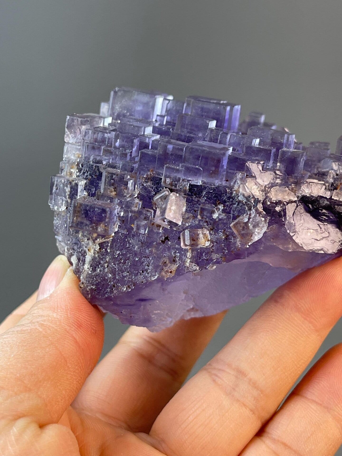 Scale reference of large stepped purple phantom fluorite