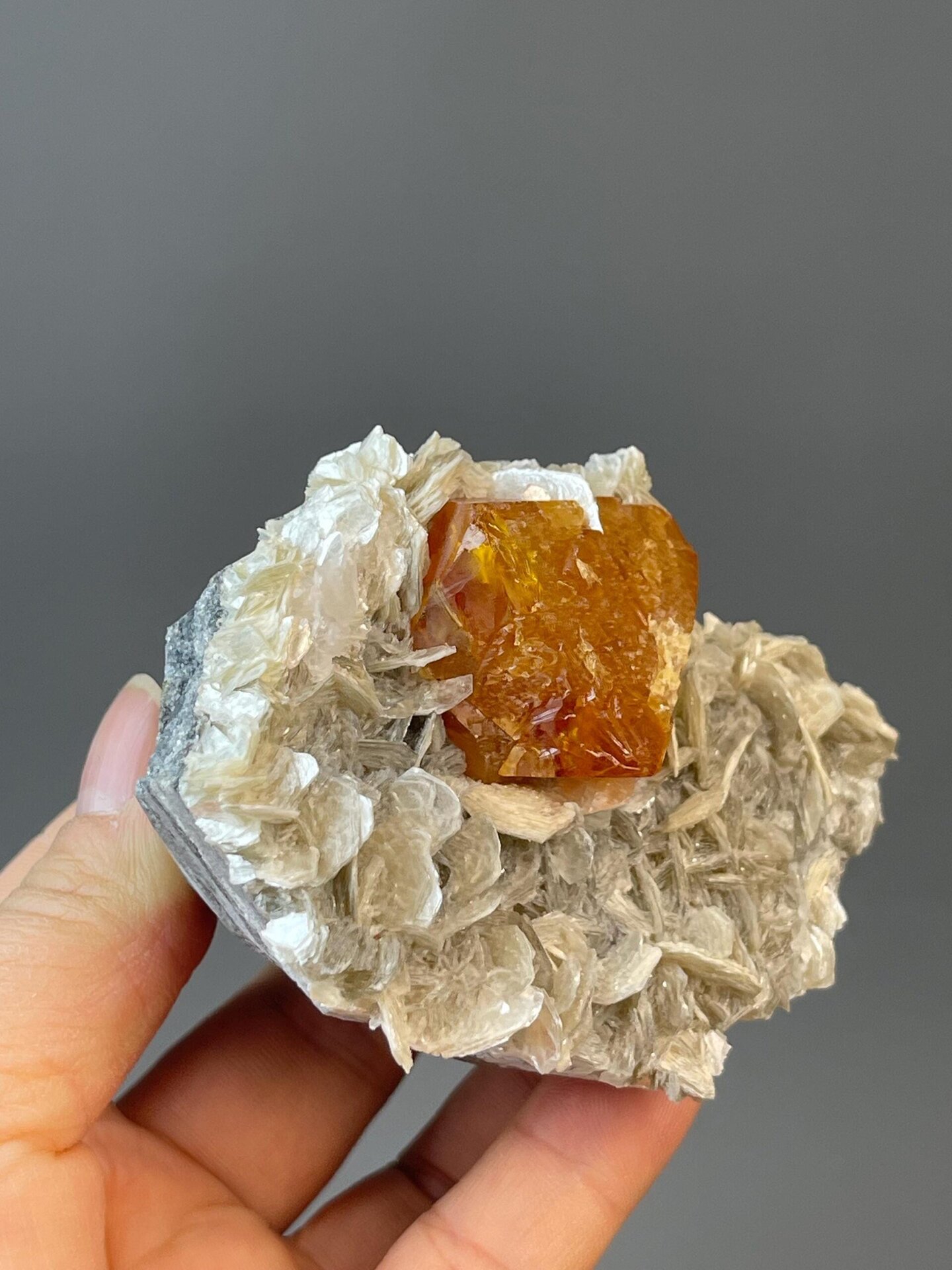 Back view of scheelite with mica matrix