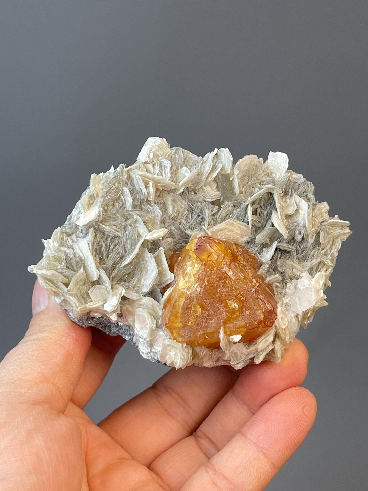 Scale reference of large orange Xuebaoding scheelite