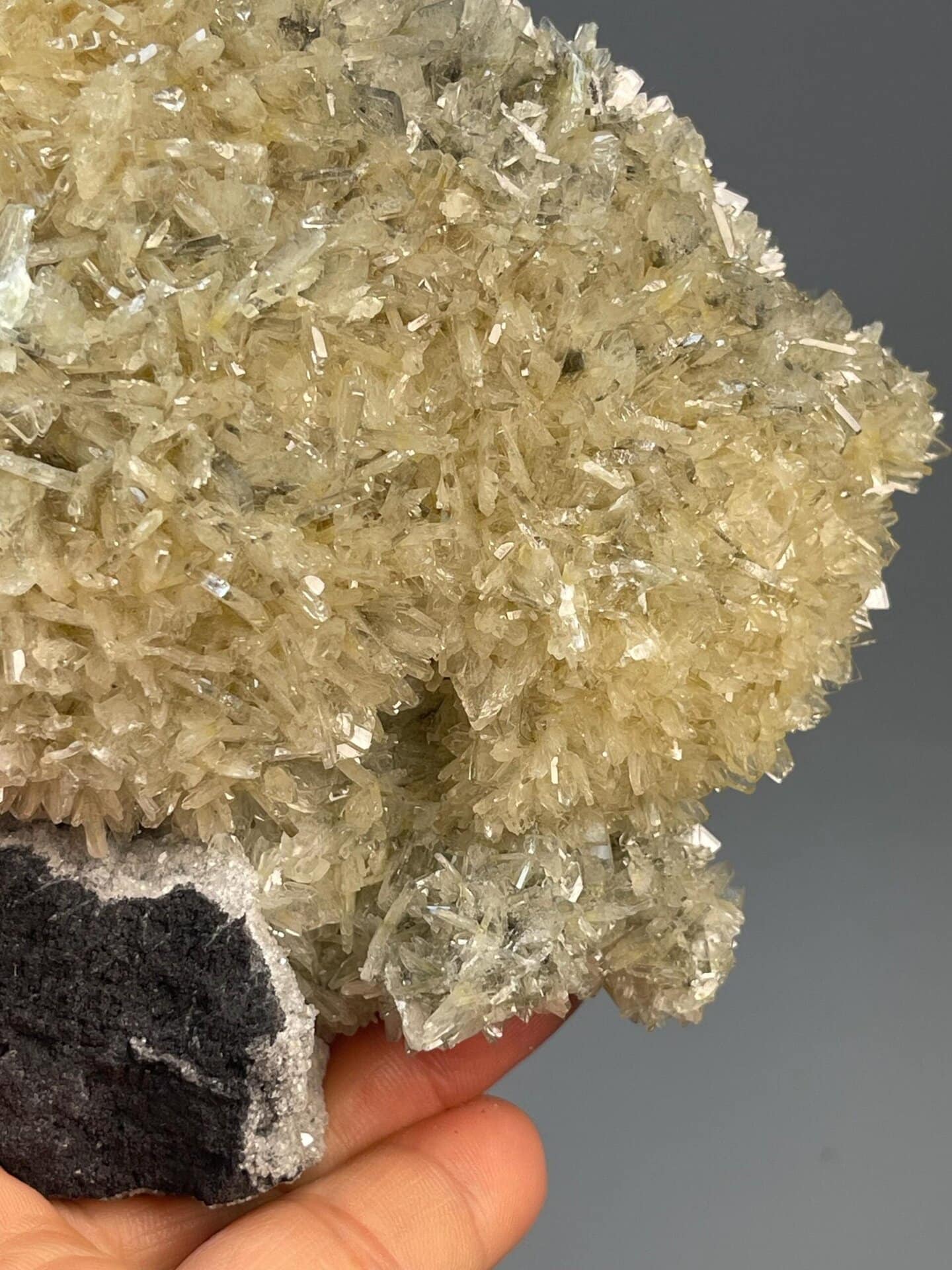 Back view of vanadinite on black matrix