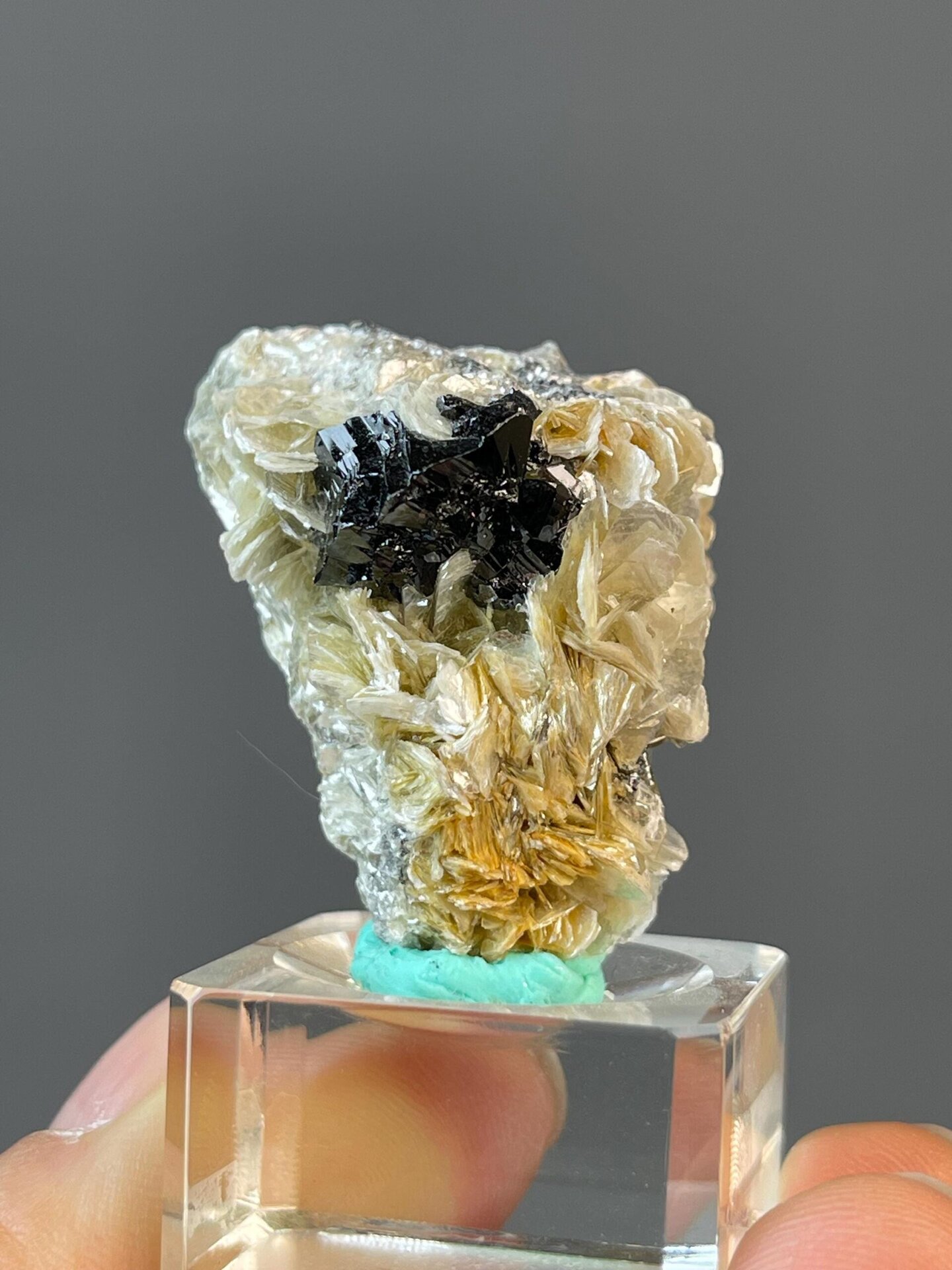 Black cassiterite crystals on reflective muscovite mica