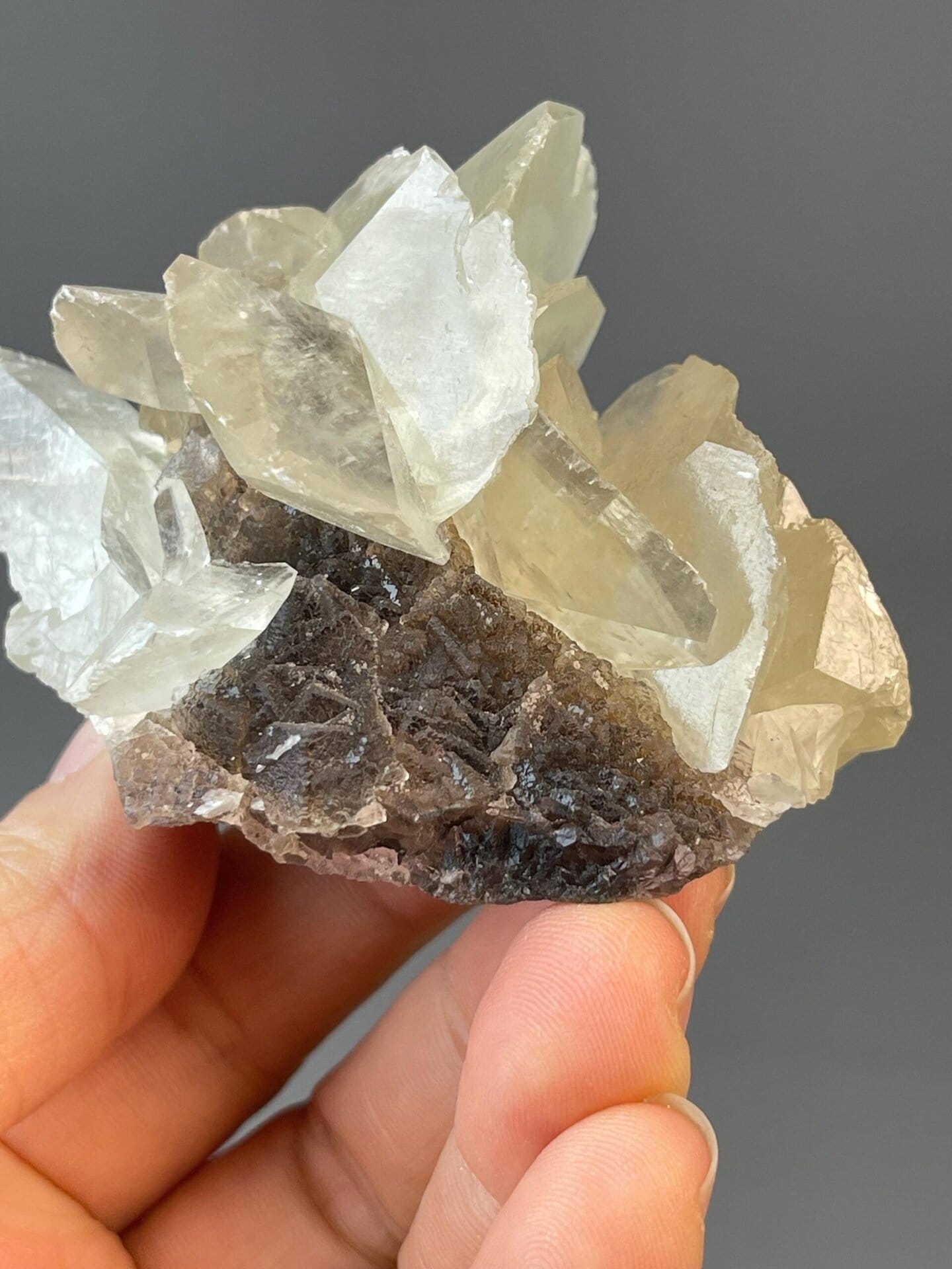 Flower-form calcite glowing under UV fluorescence