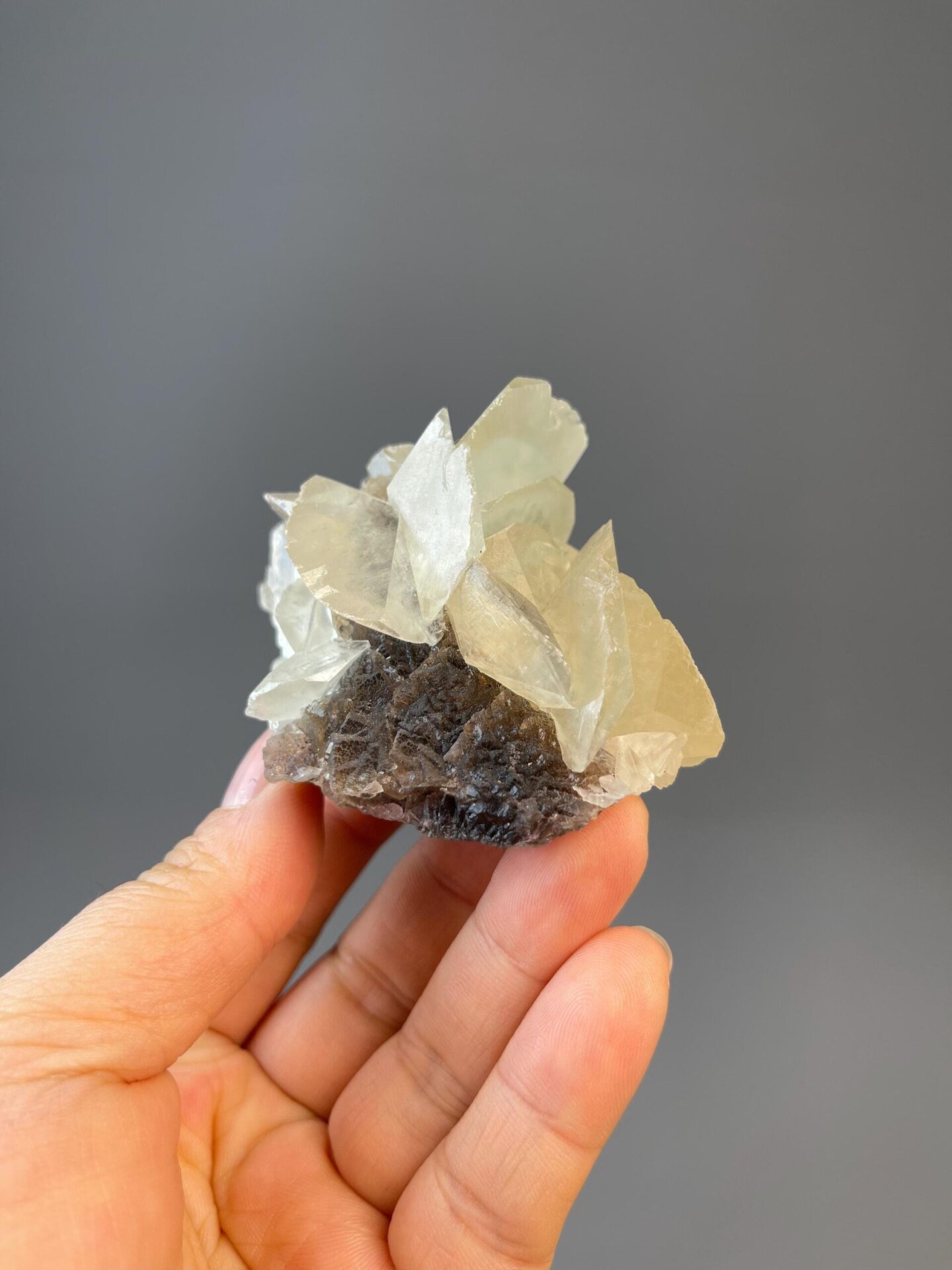 Flower-form calcite Hunan ruler scale reference