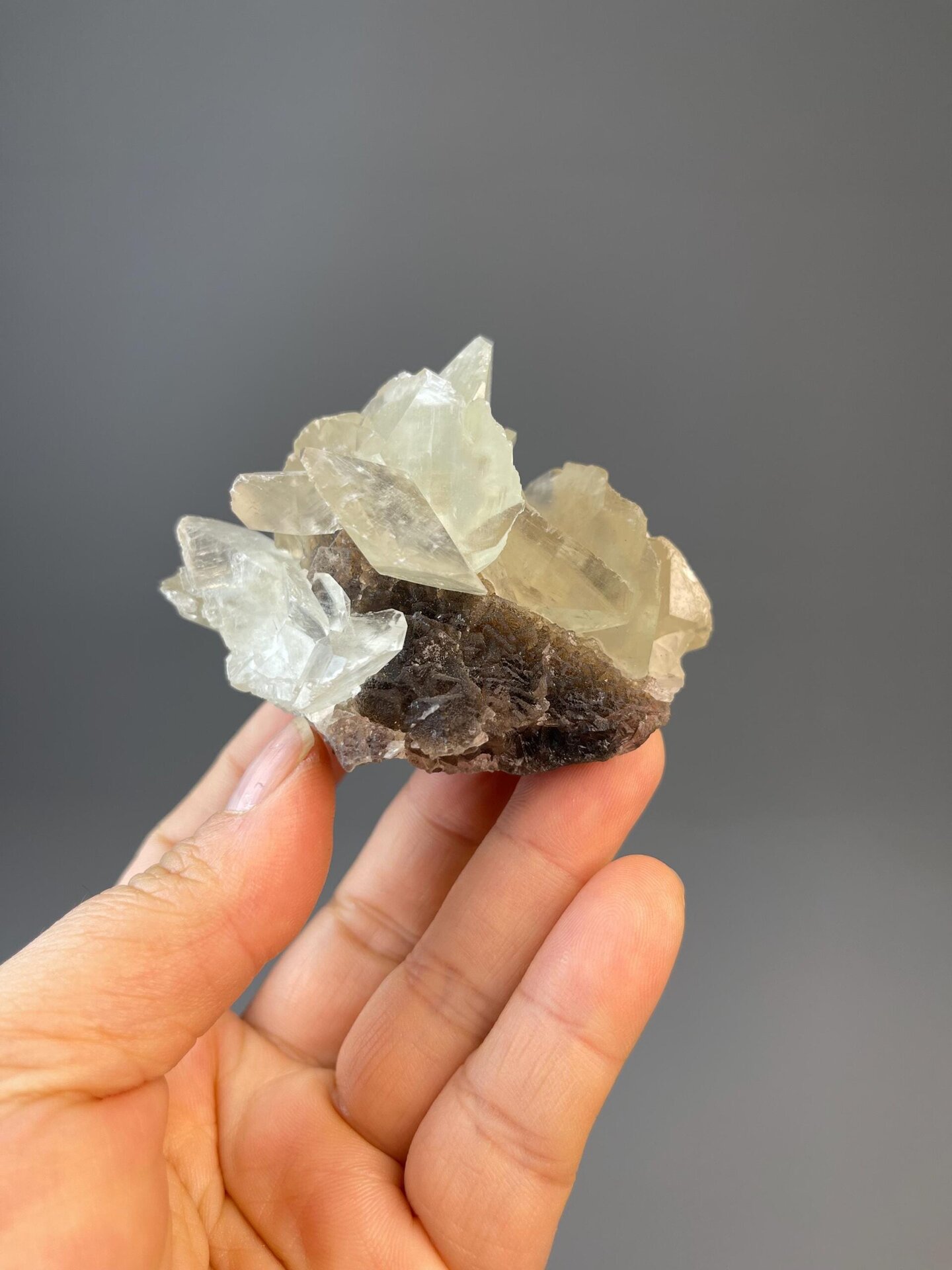Angled view of UV-fluorescent flower-form calcite
