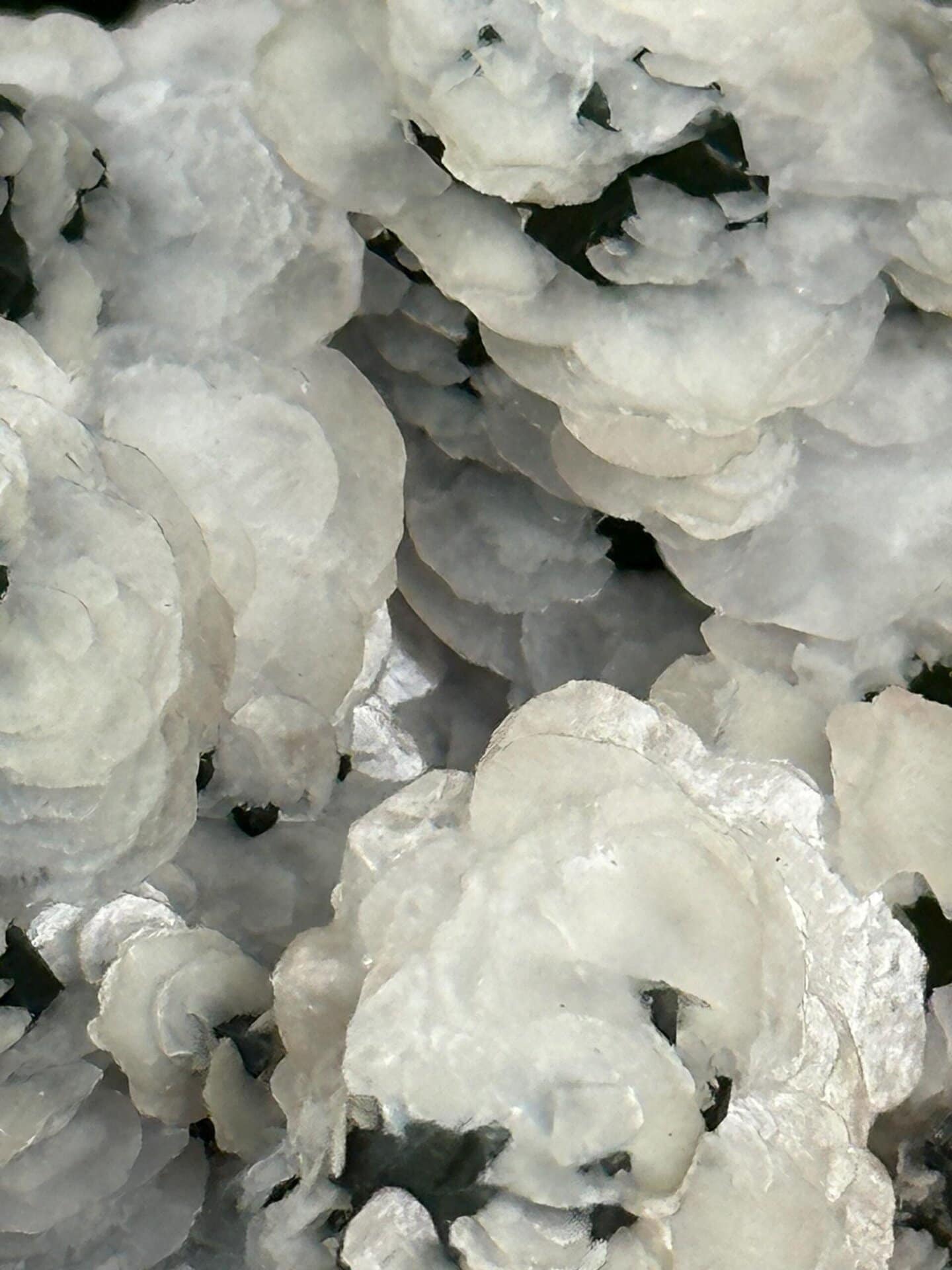 Green Calcite specimen, Inner Mongolia, China