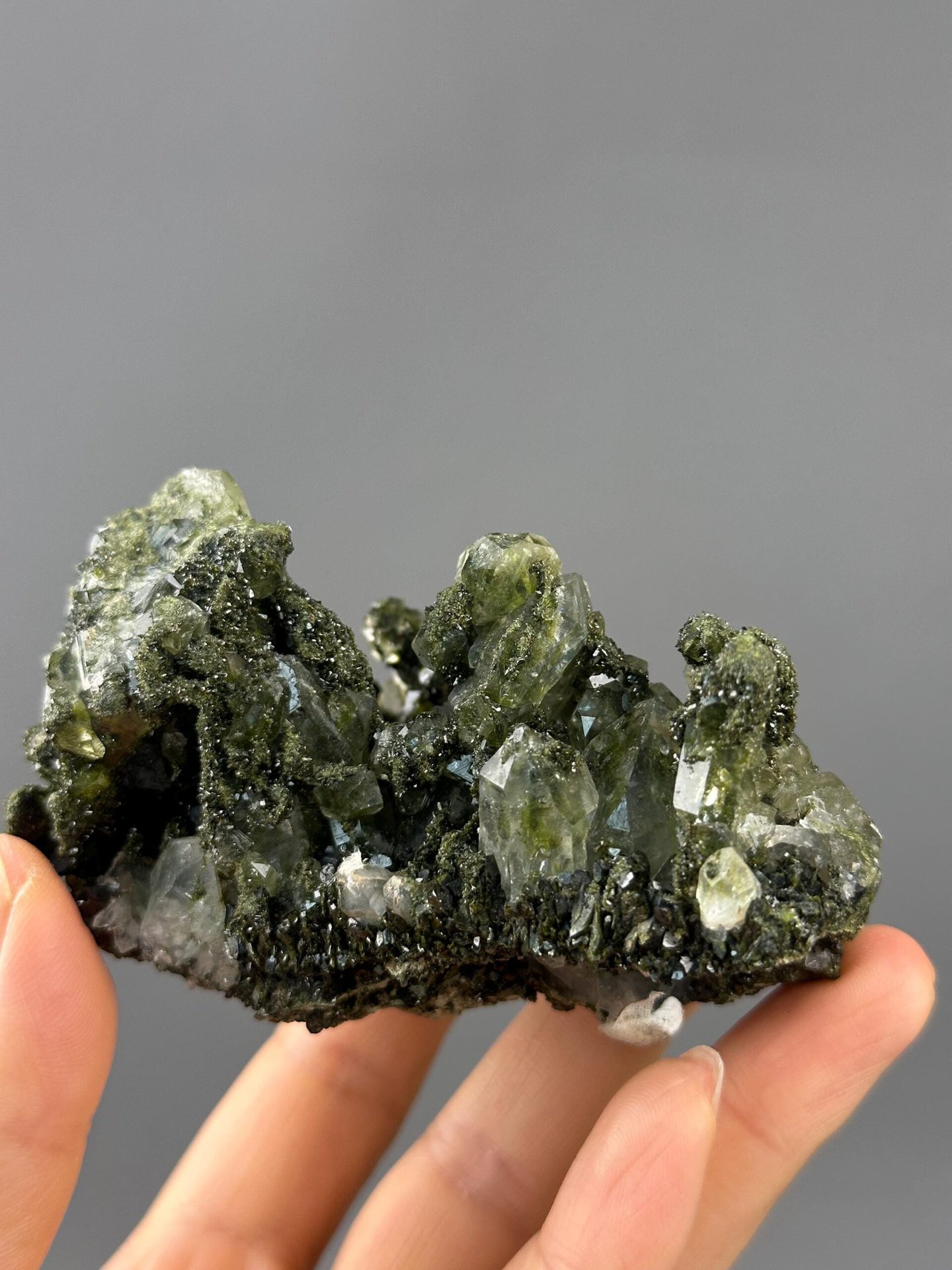 Landscape patterns from chlorite and epidote in quartz