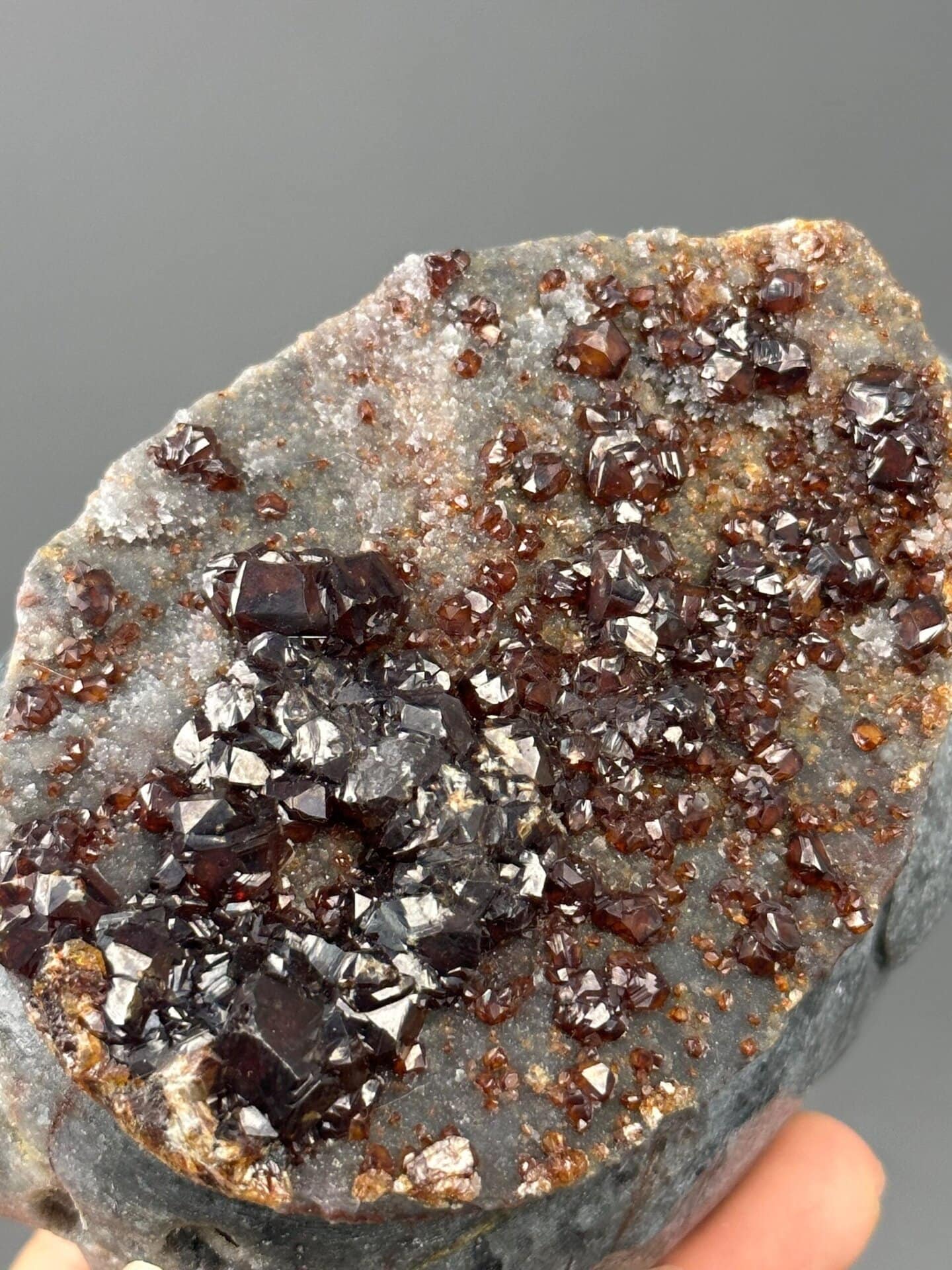 Back view of large garnet elephant carving