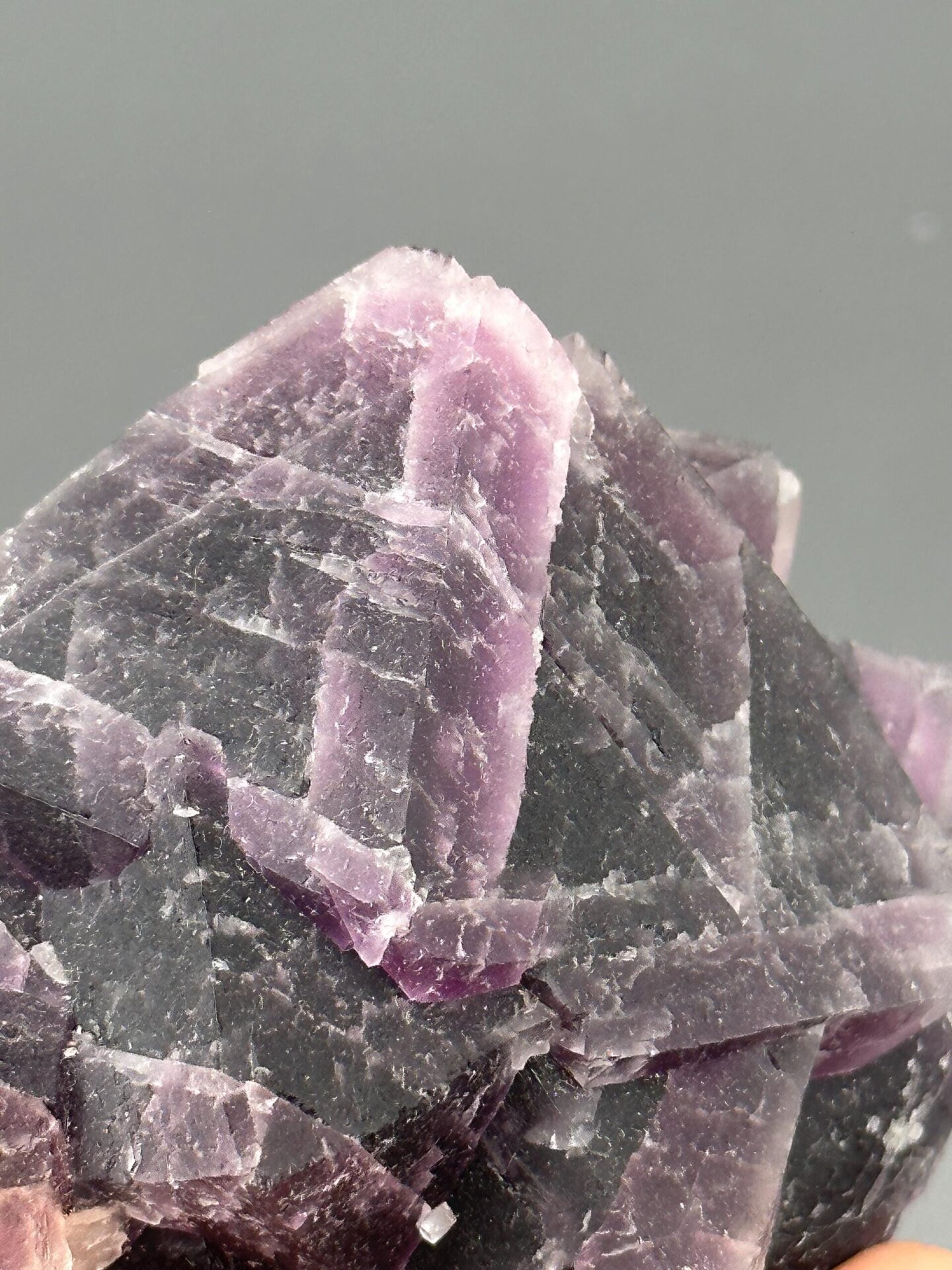 Triangular fluorite dual color zoning close-up
