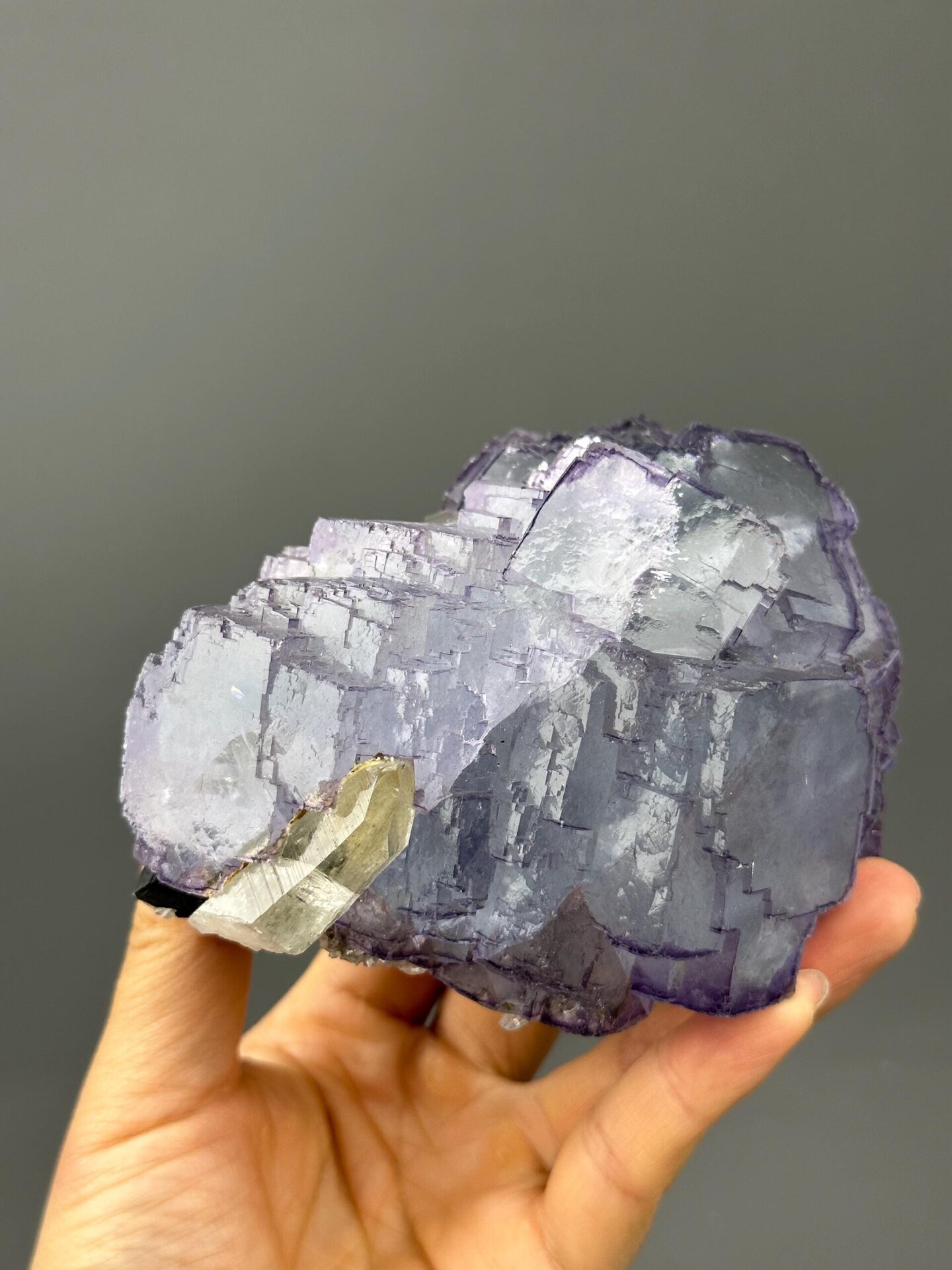 Museum fluorite twin Yaogangxian ruler scale reference