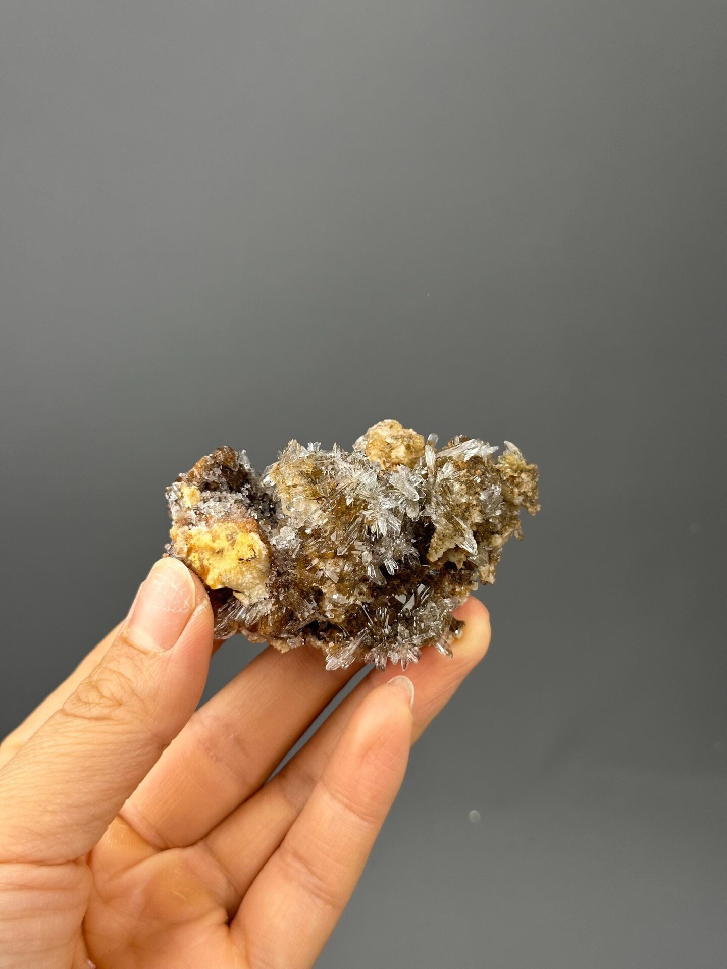 Gypsum needle cluster with ruler scale reference