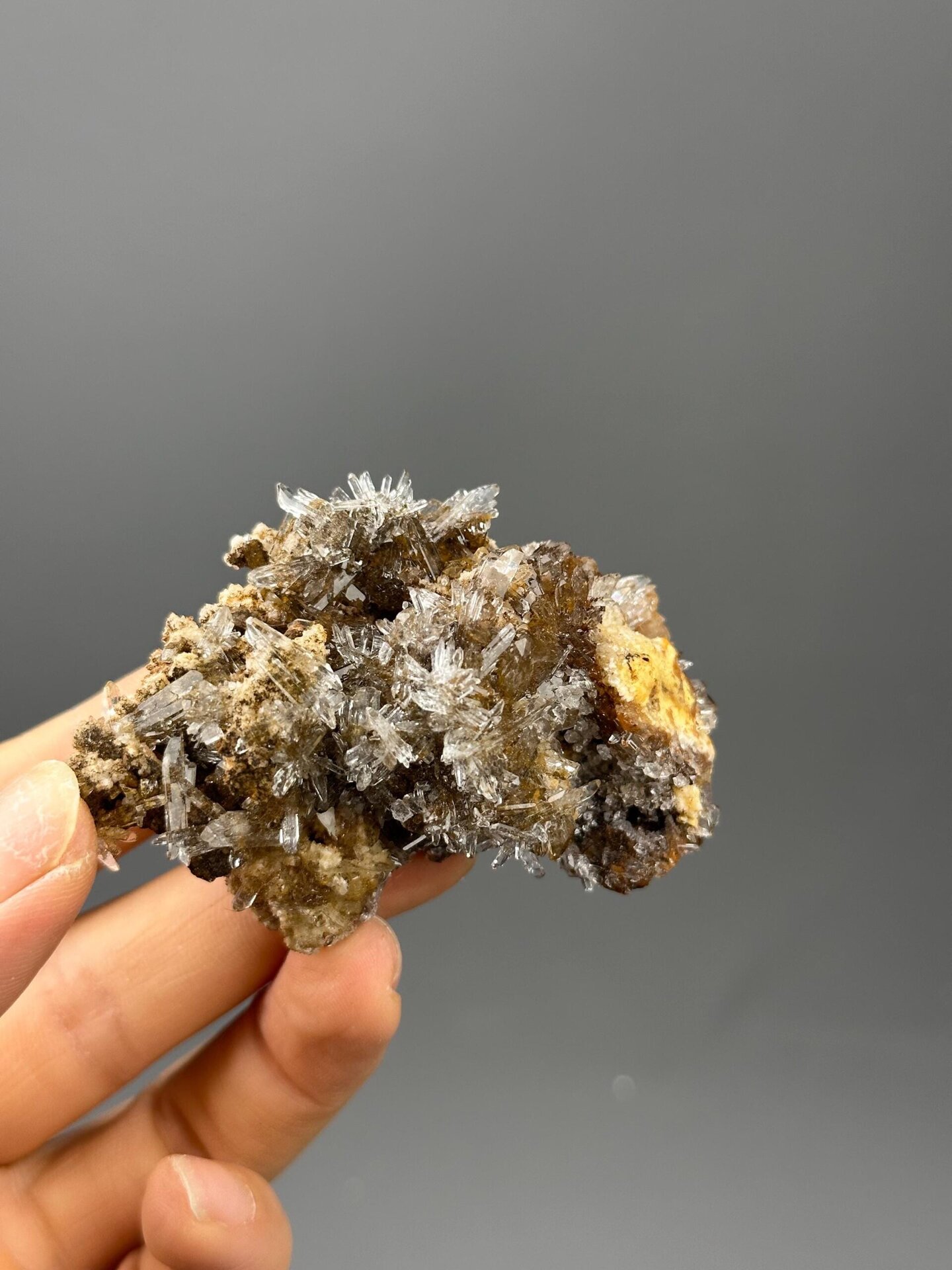 Gypsum flower formation showing crystal sprays